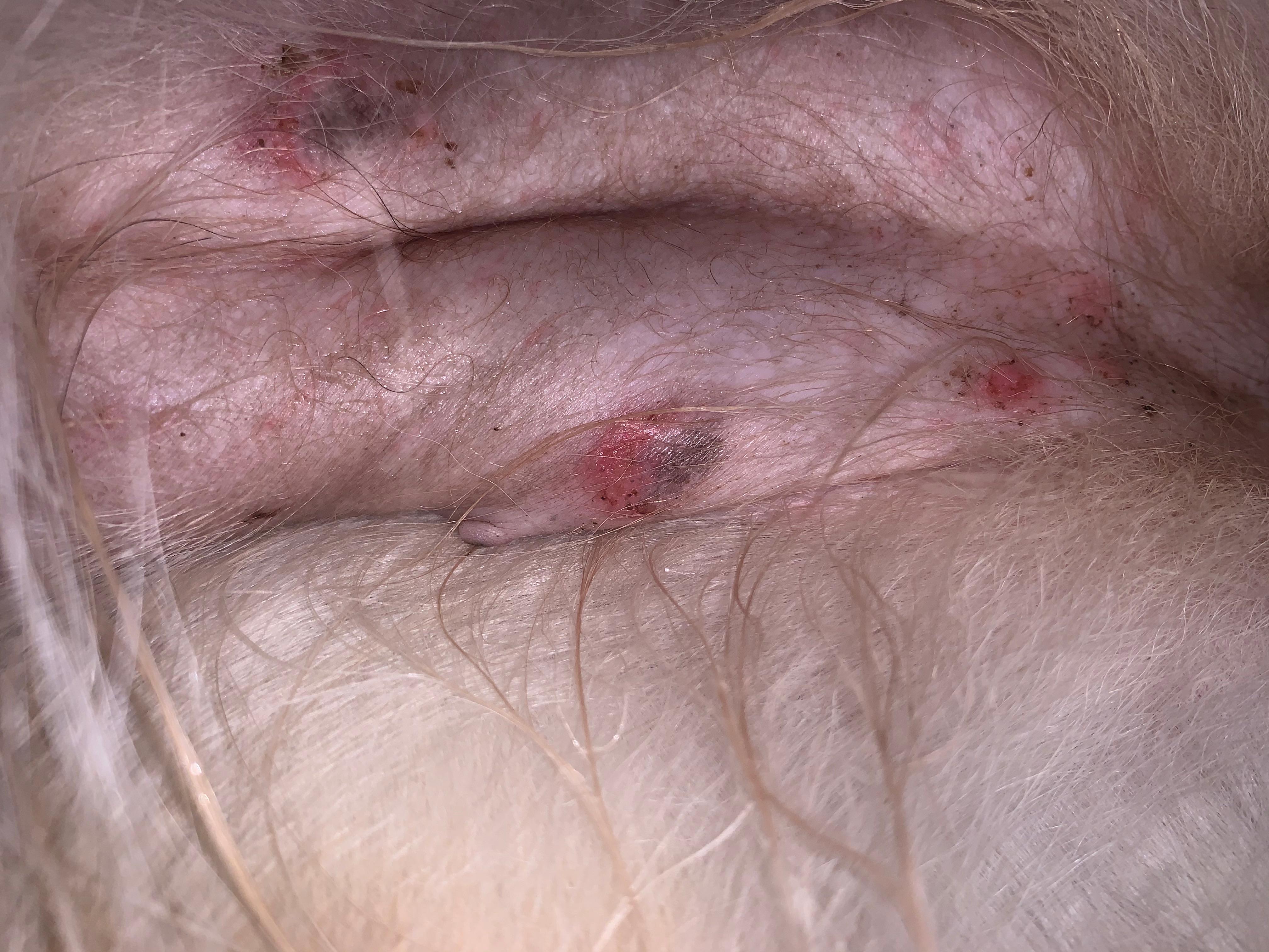 Question details sensitive content