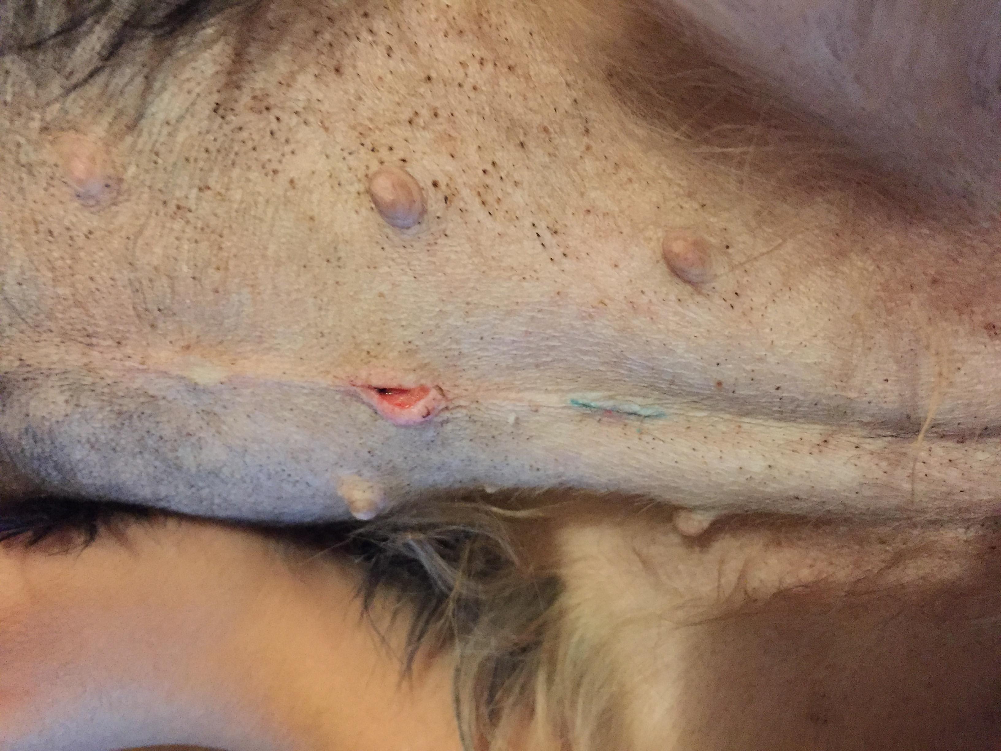 Question details sensitive content