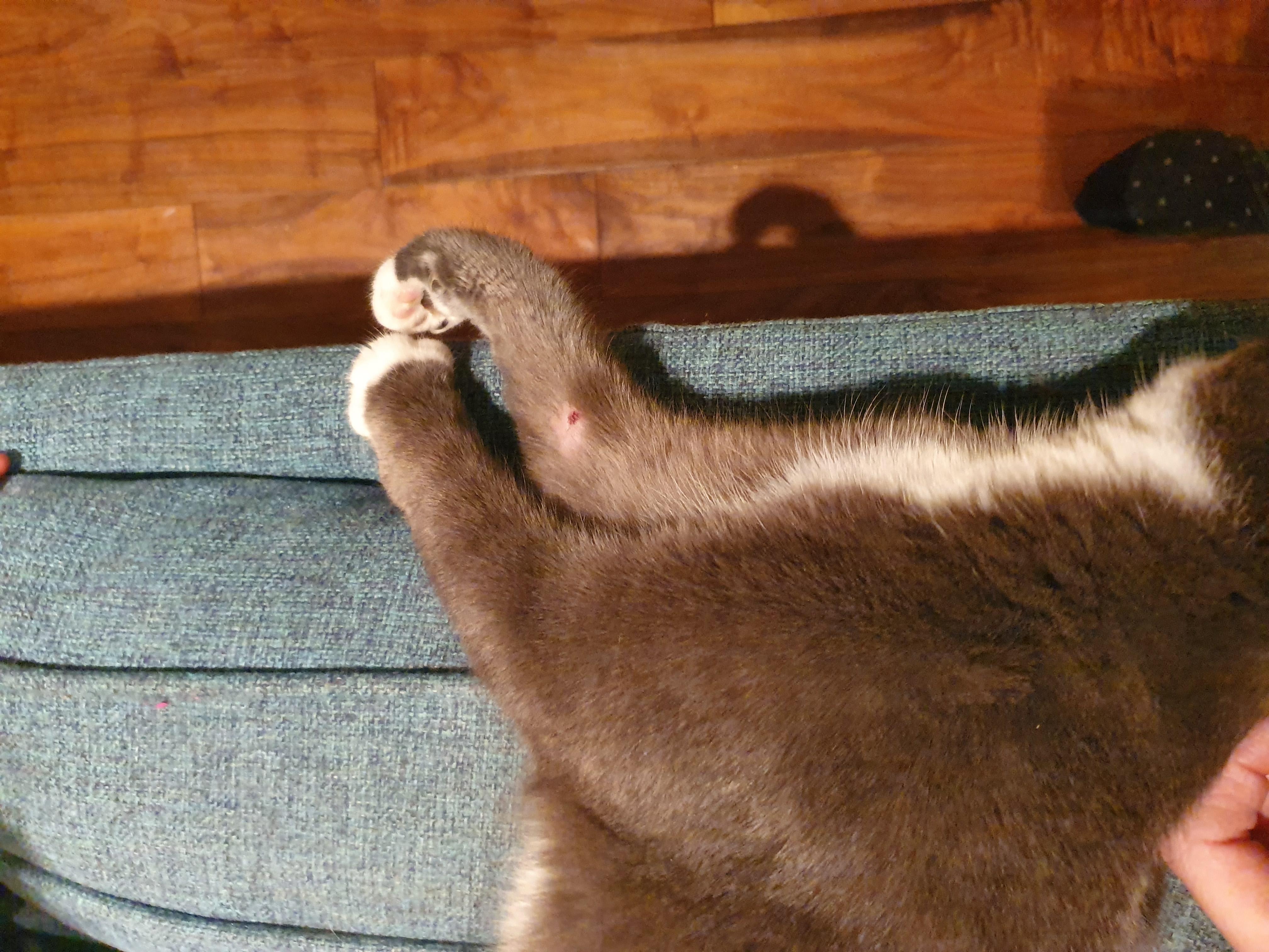 Question details sensitive content