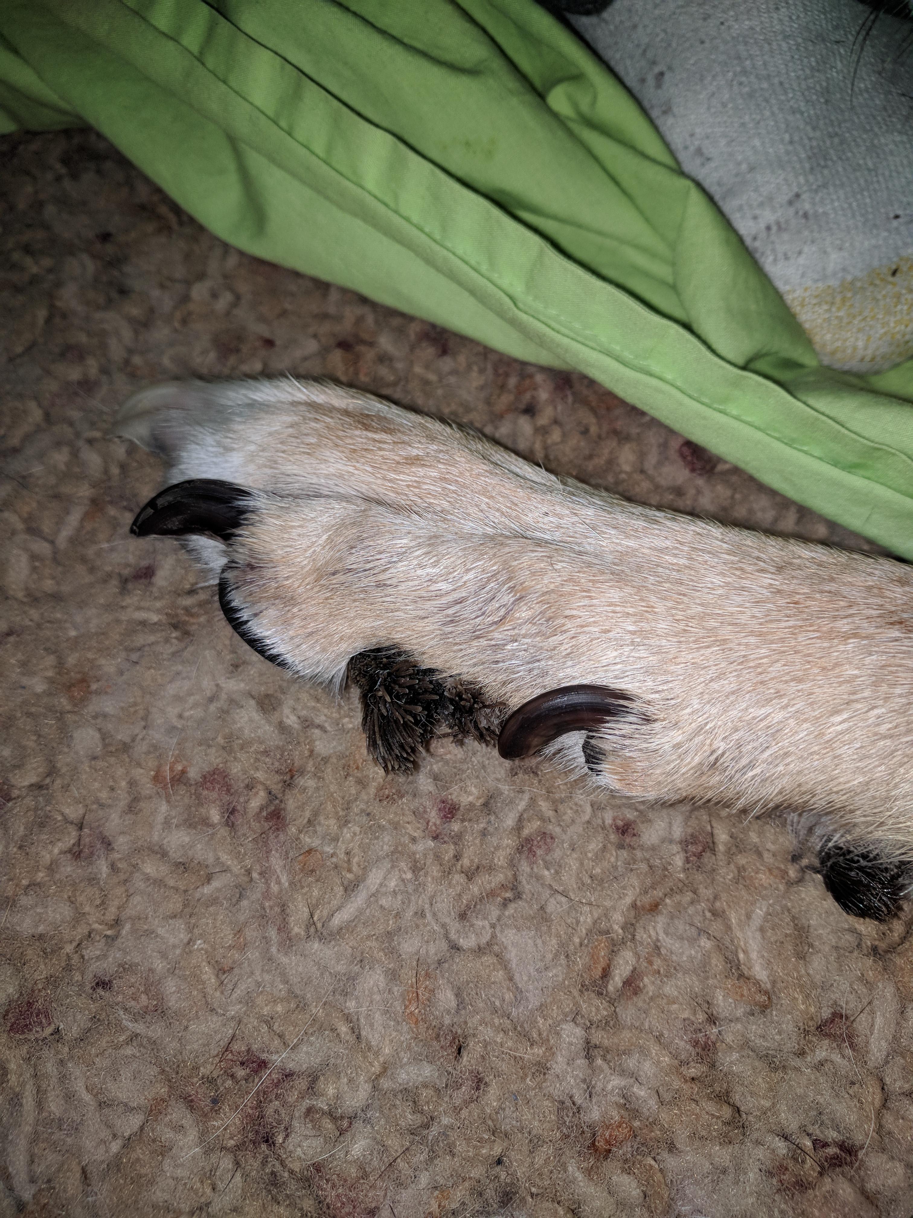 Question details sensitive content