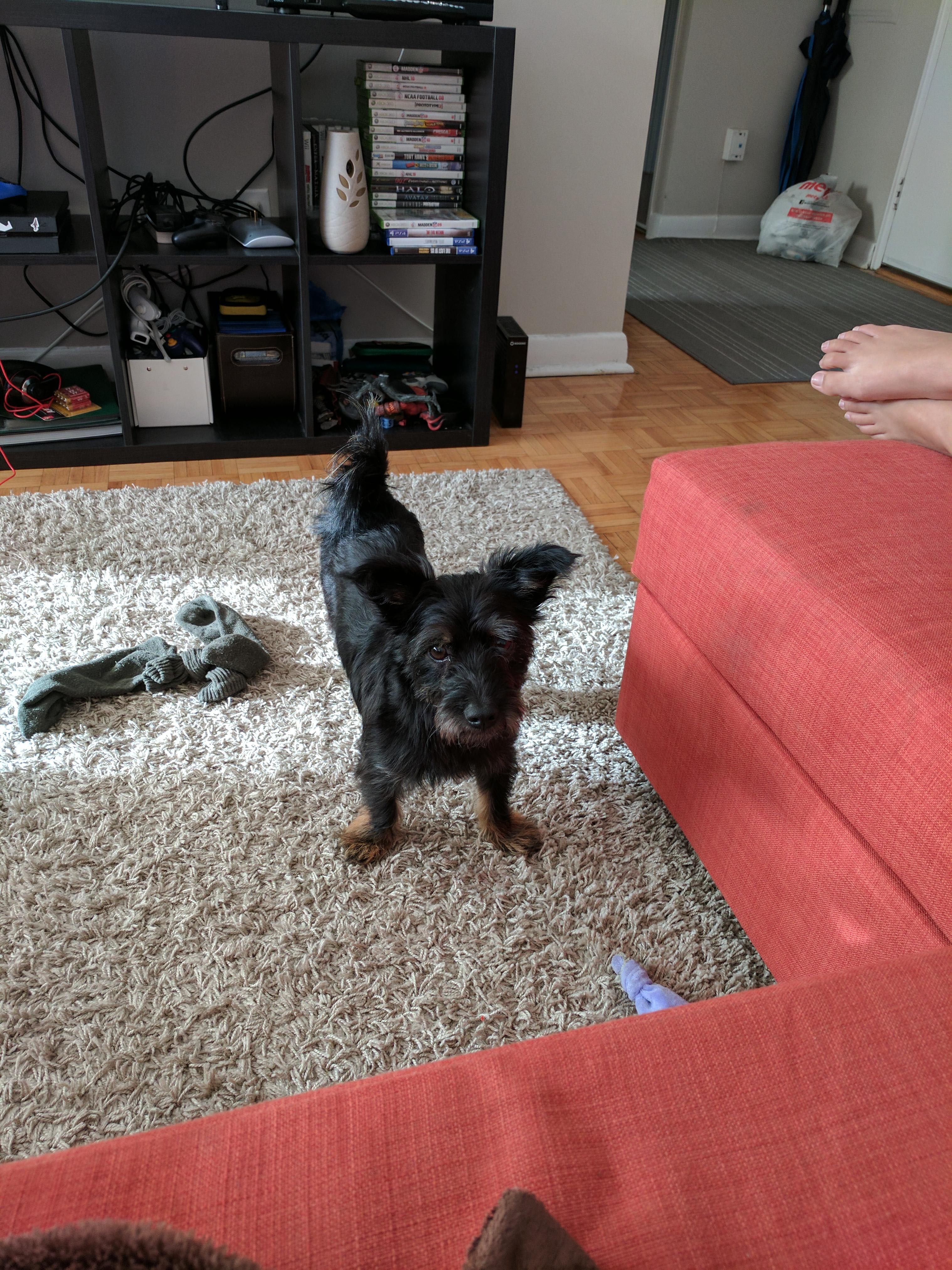 Question details sensitive content