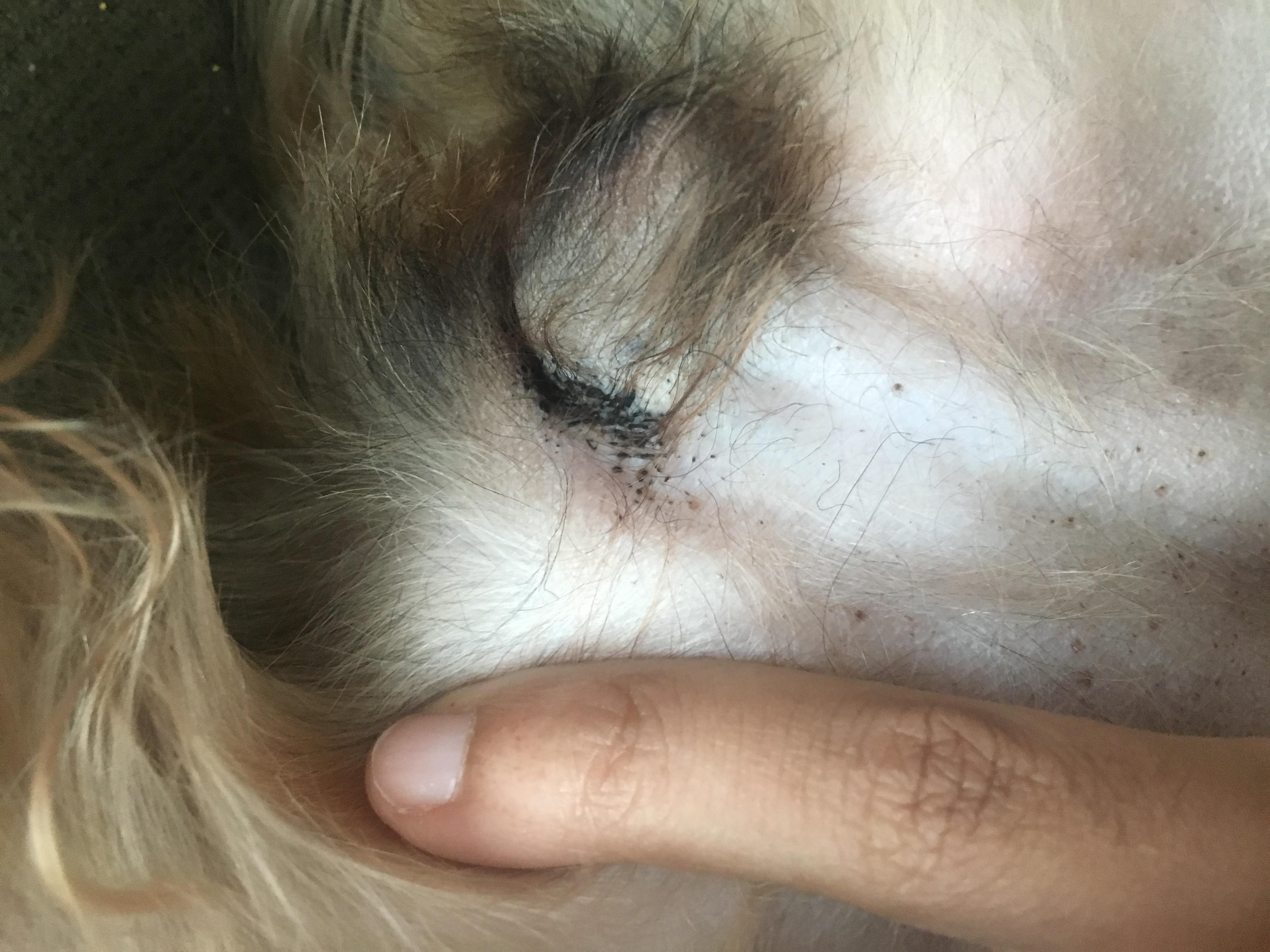 Question details sensitive content