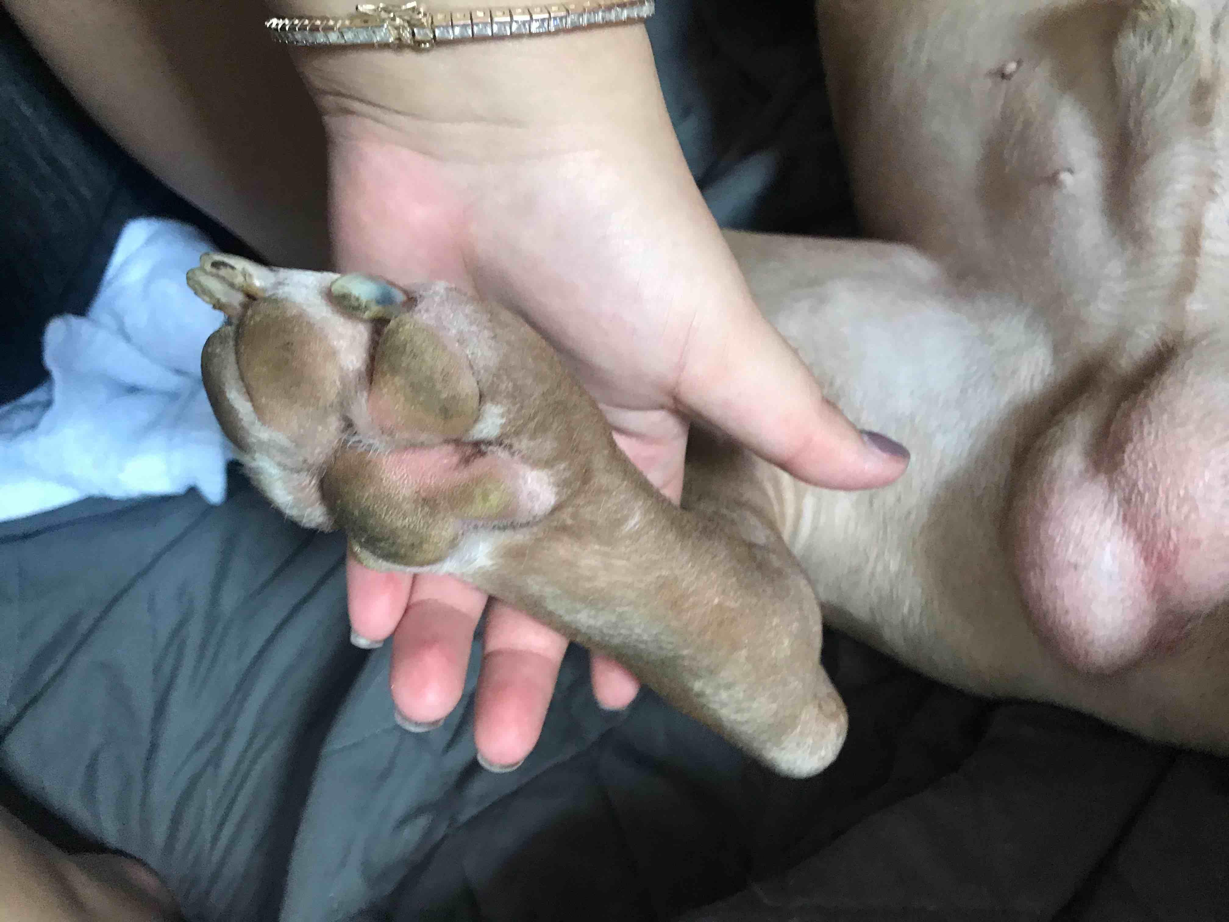 Question details sensitive content