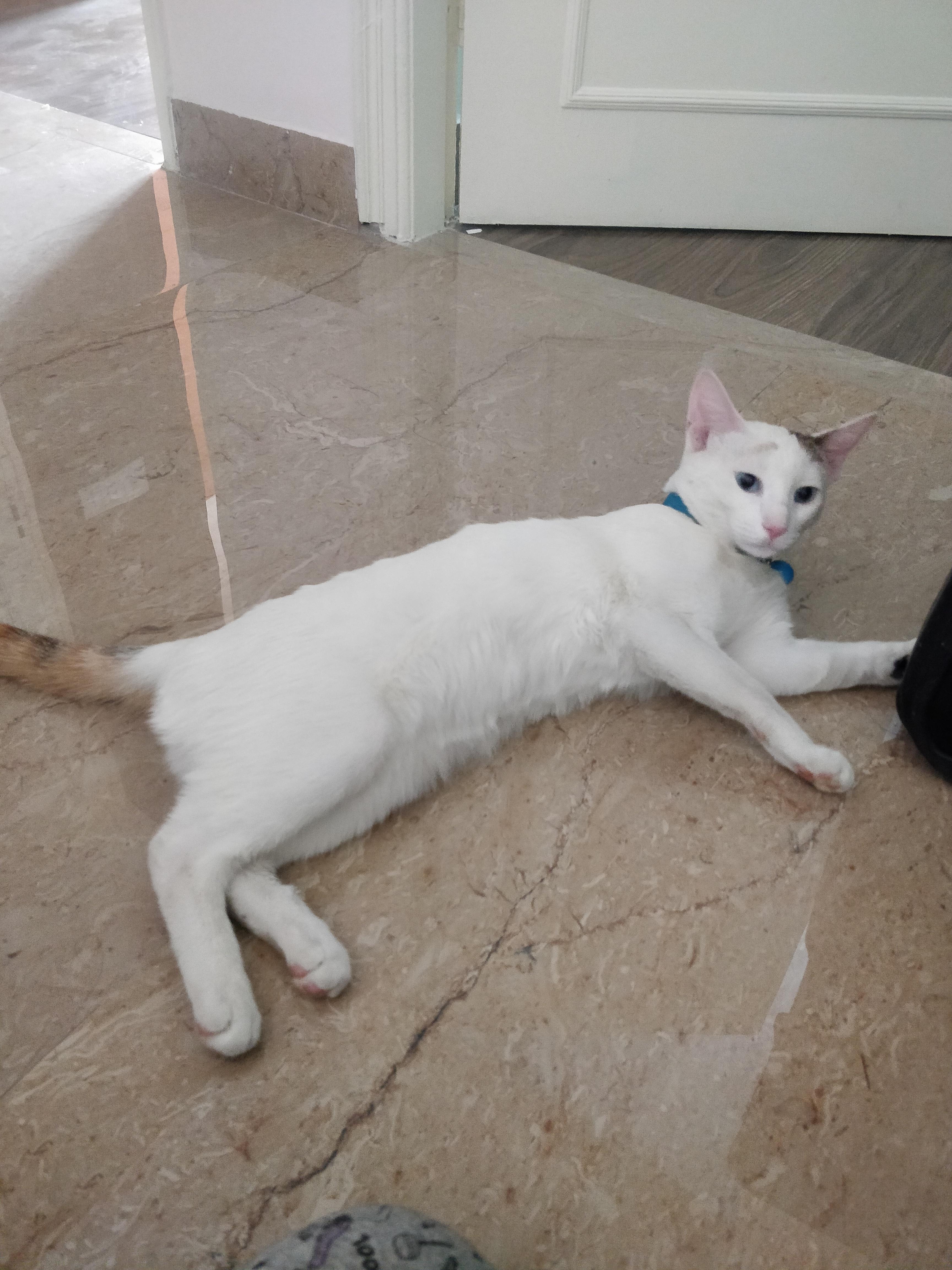 Question details sensitive content