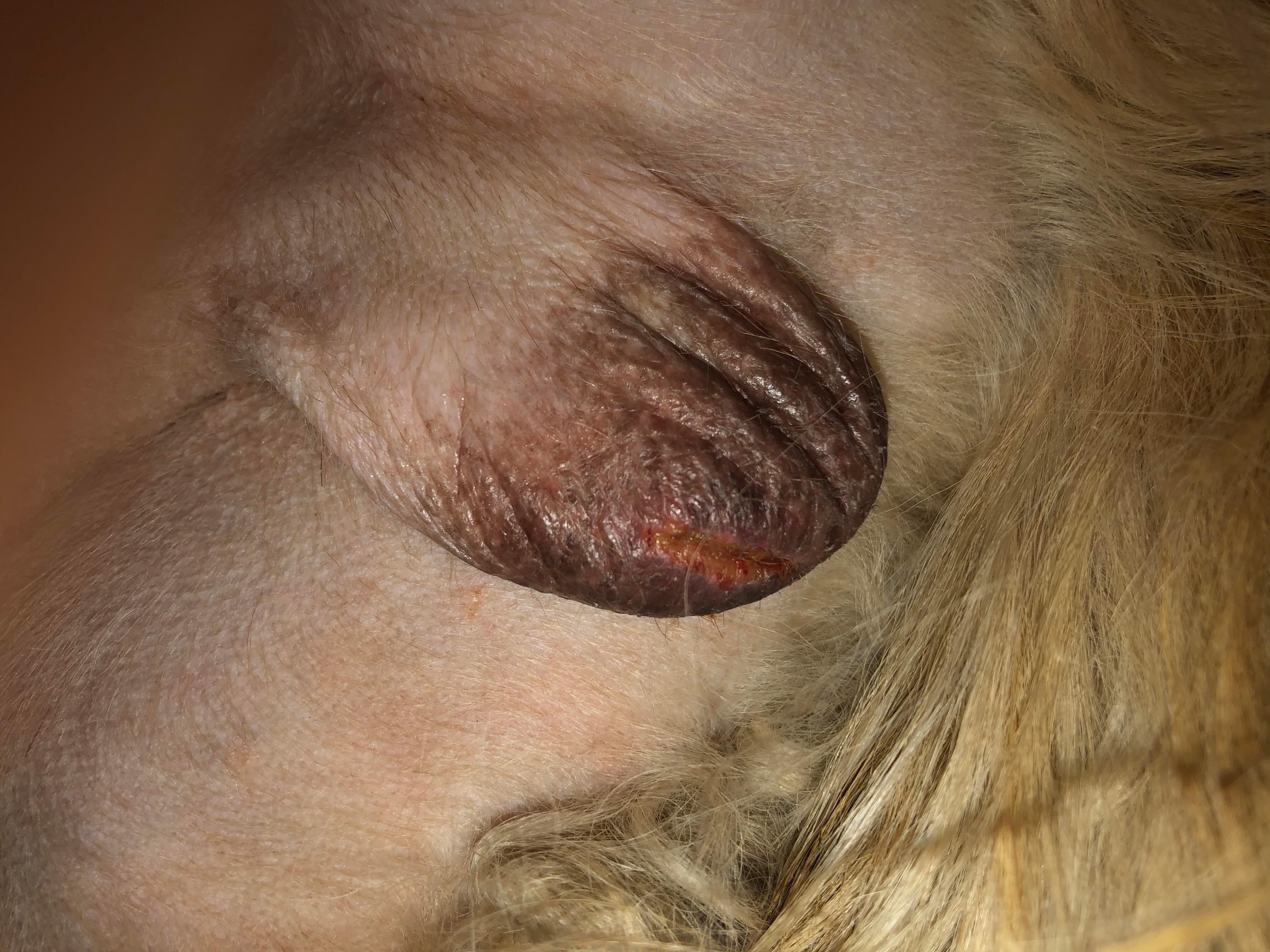 Question details sensitive content