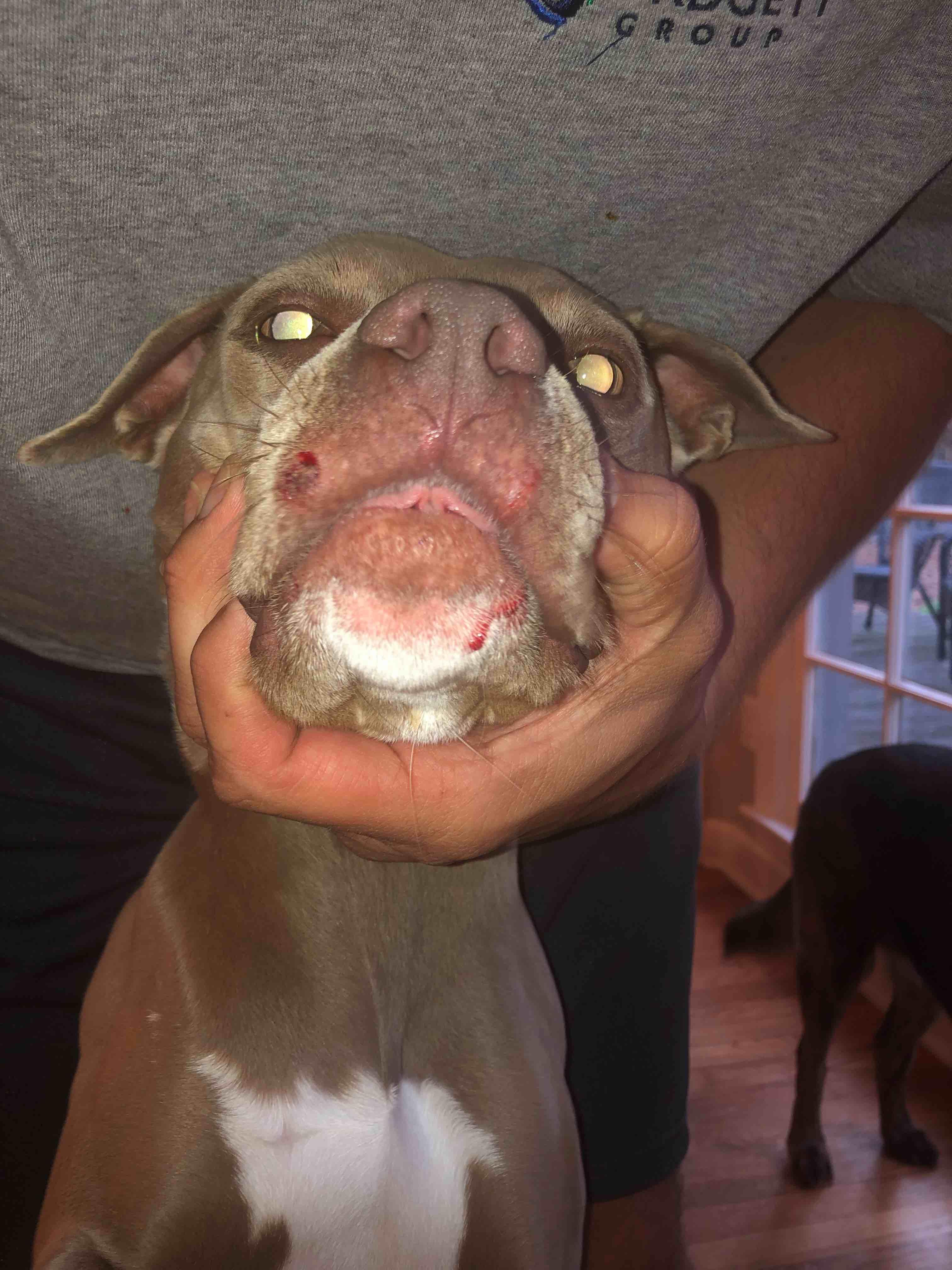 Question details sensitive content