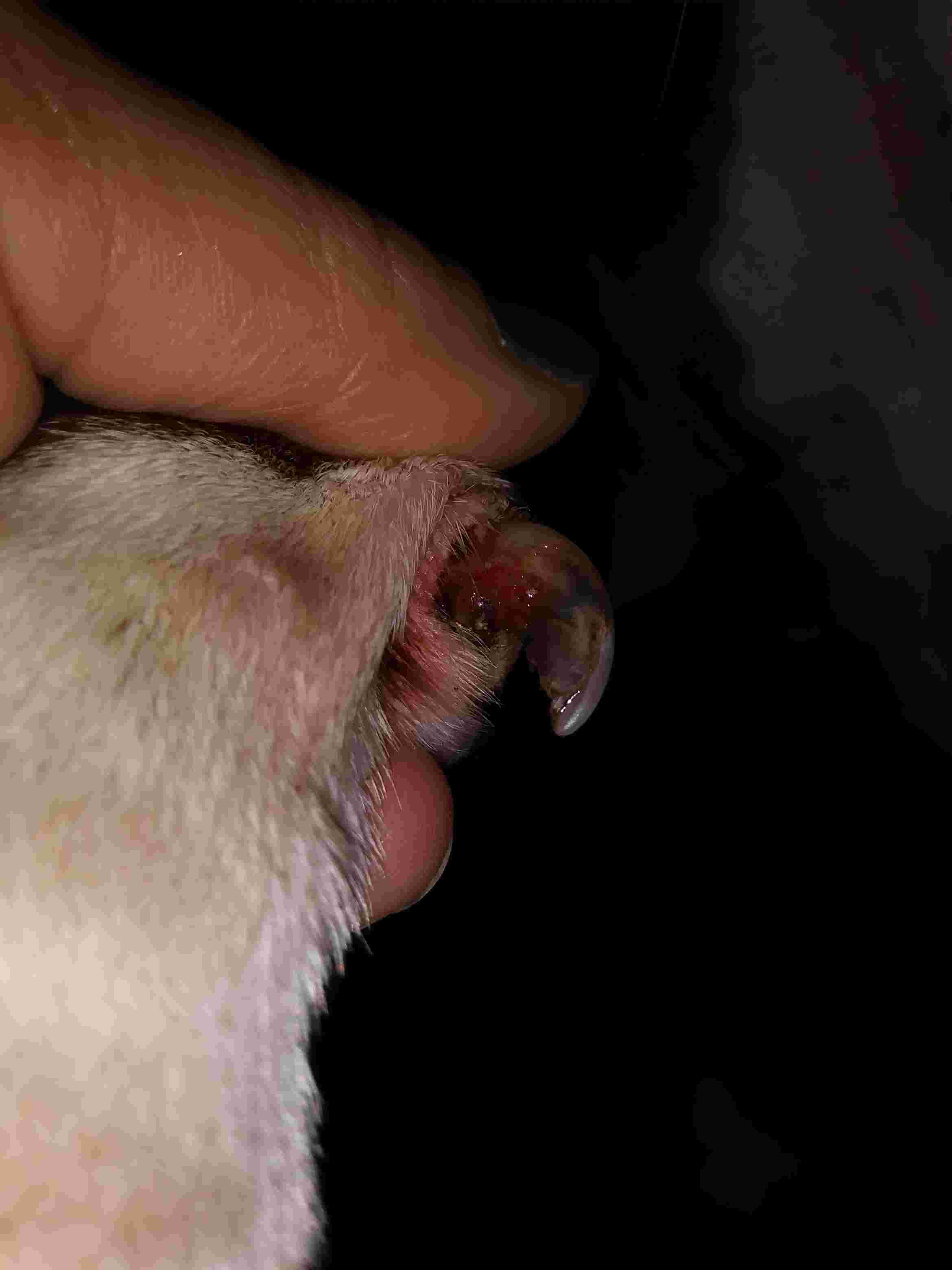 Question details sensitive content