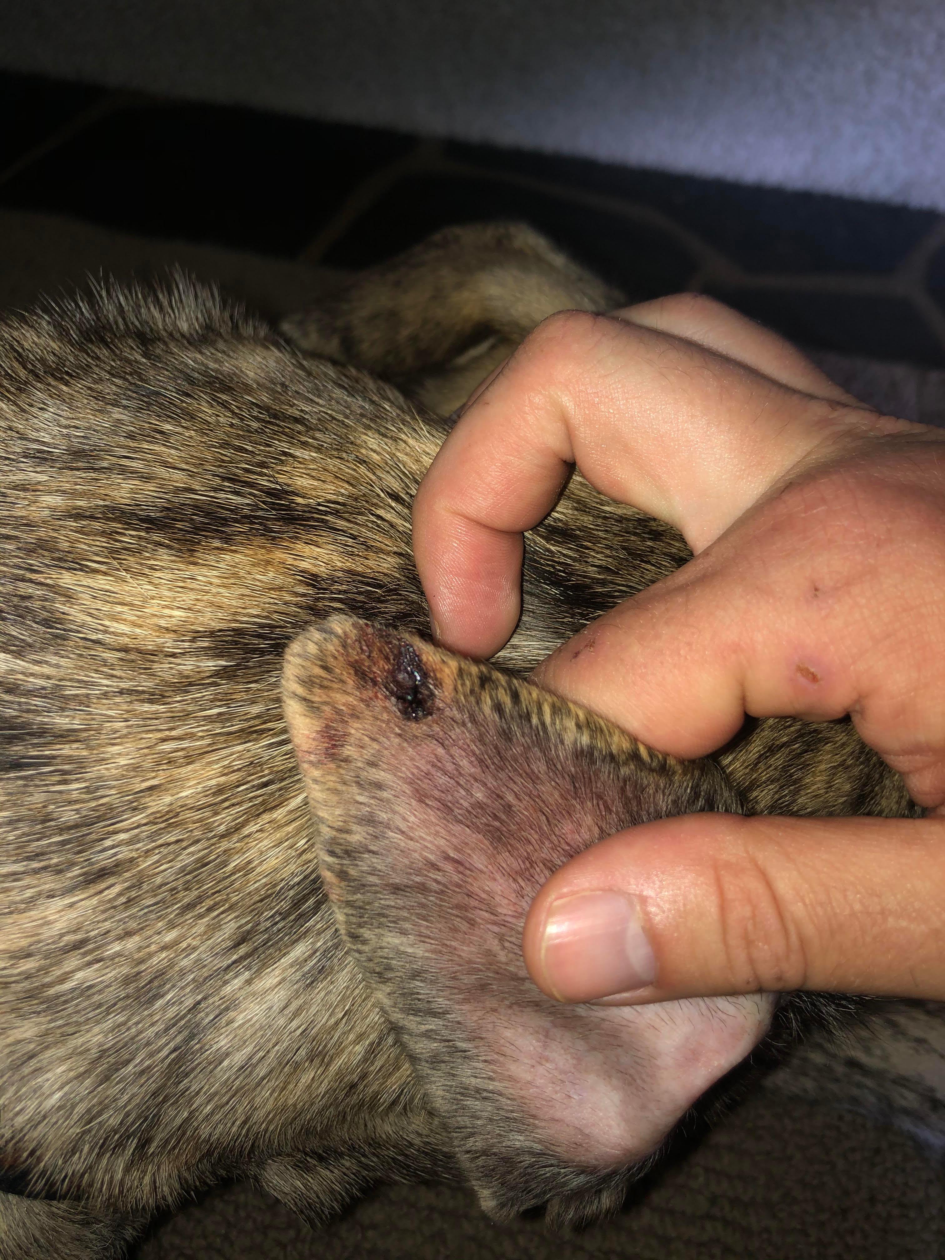 Question details sensitive content