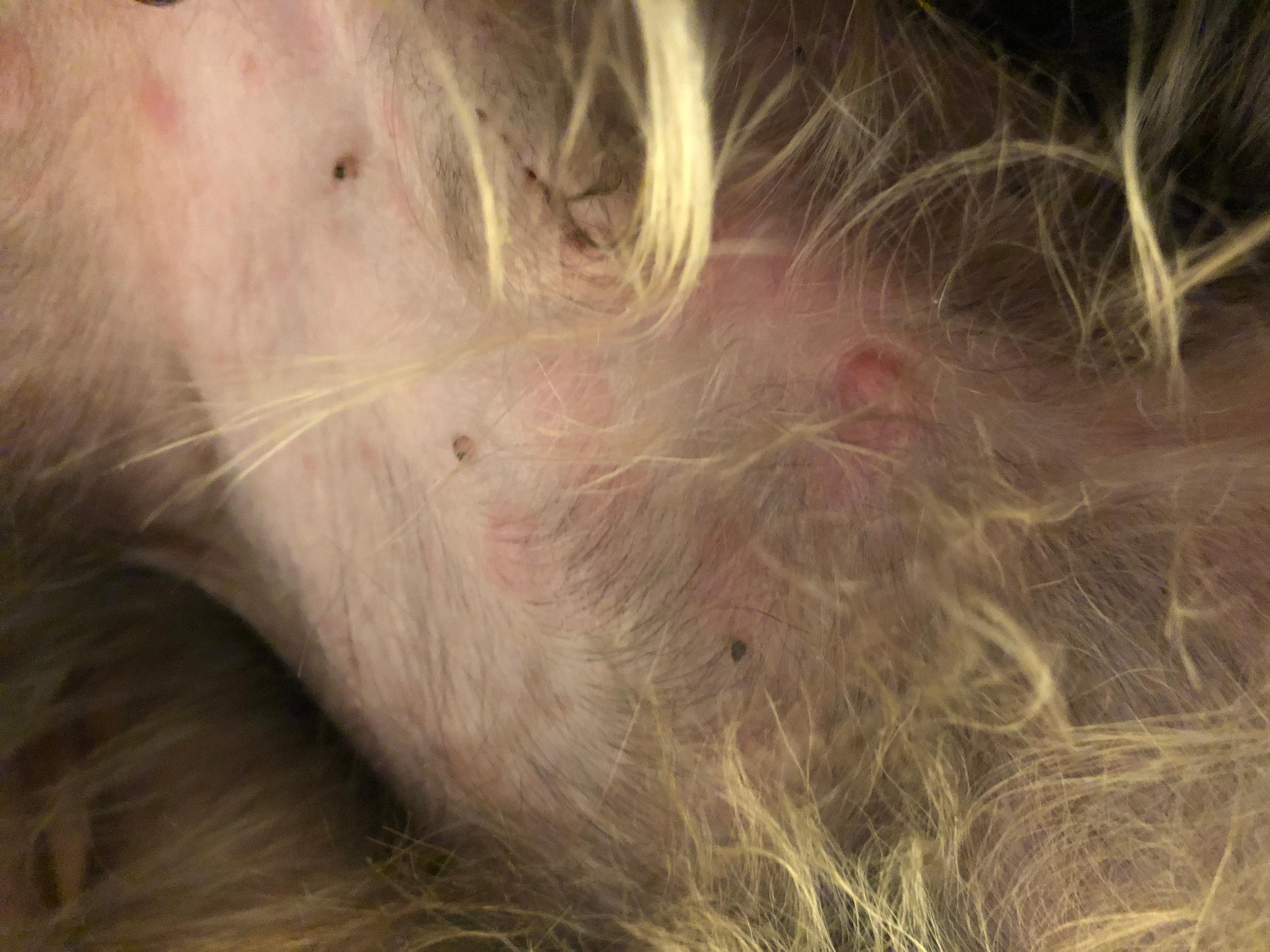 Question details sensitive content