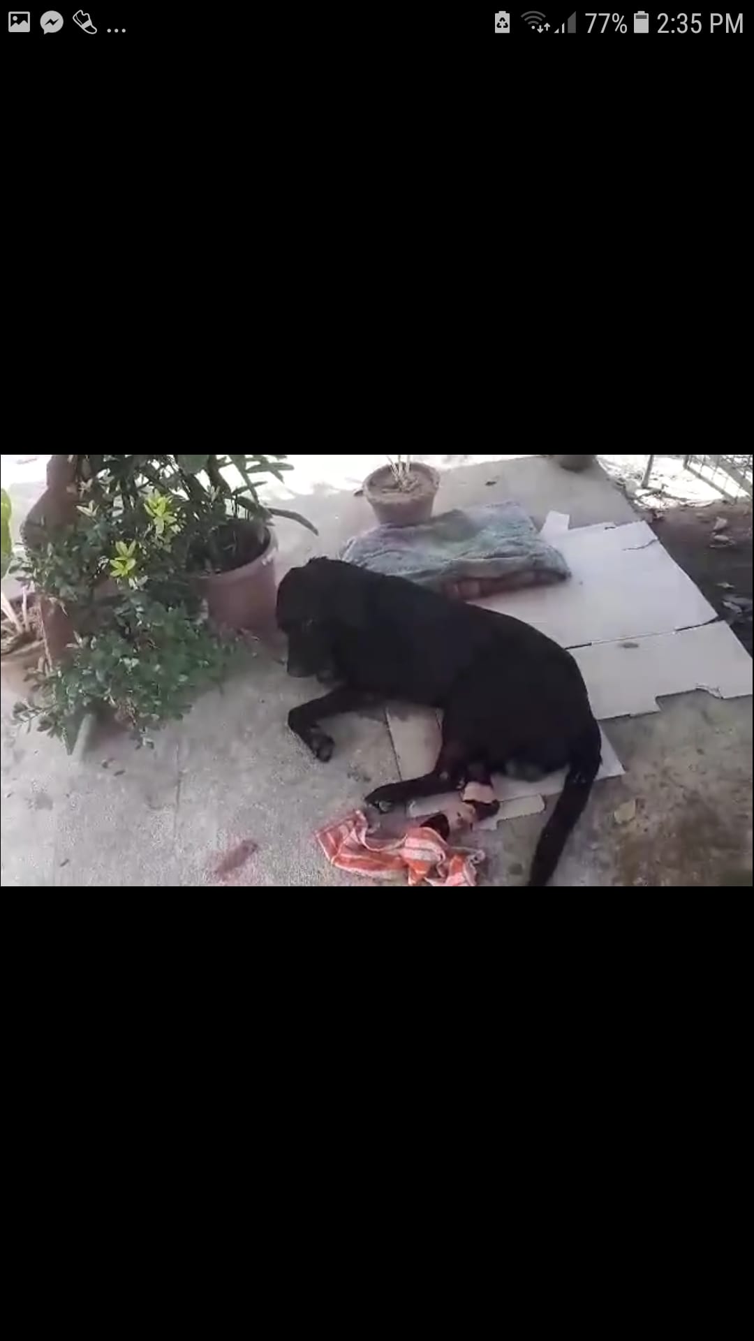 Question details sensitive content