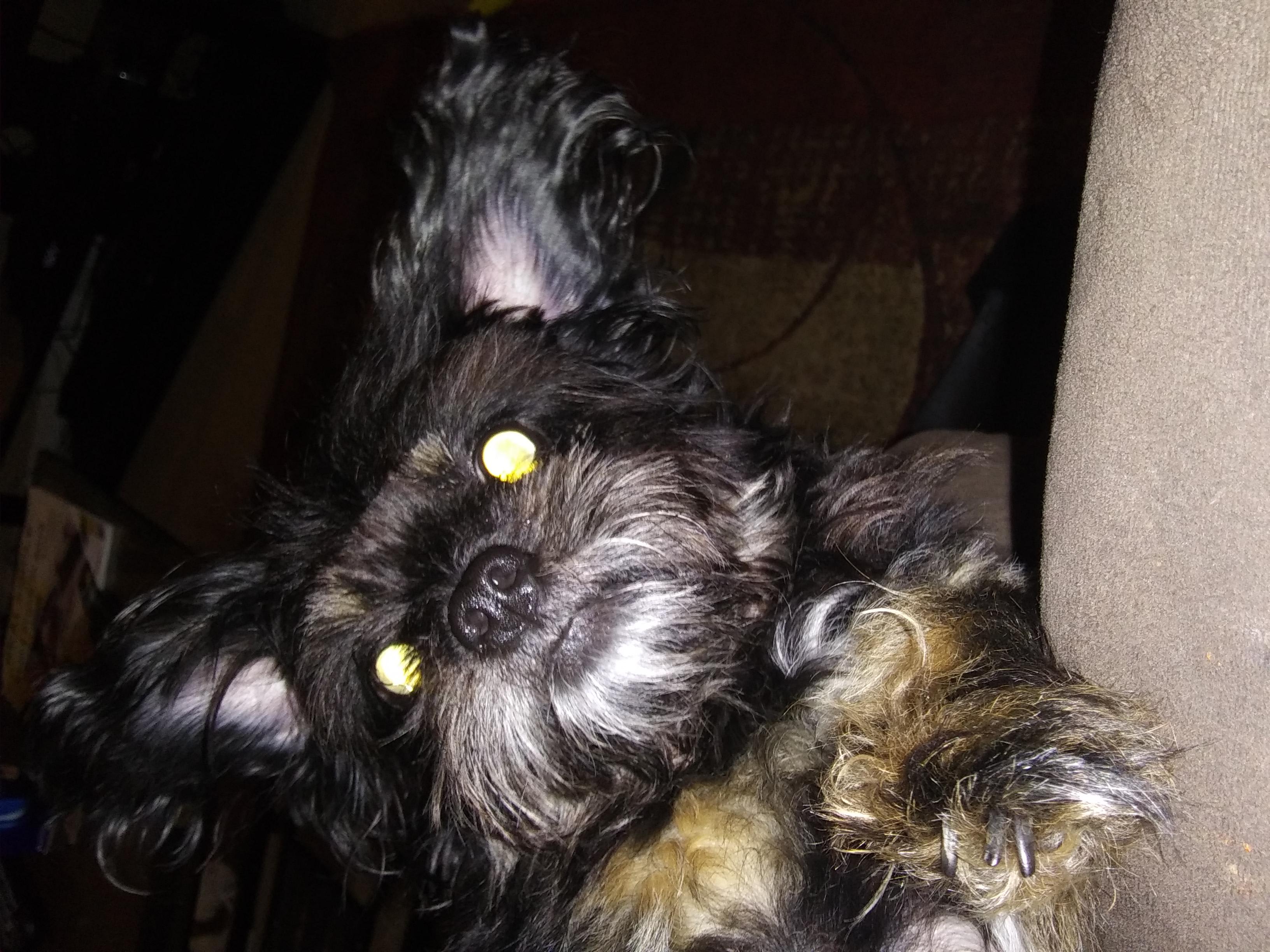 Question details sensitive content