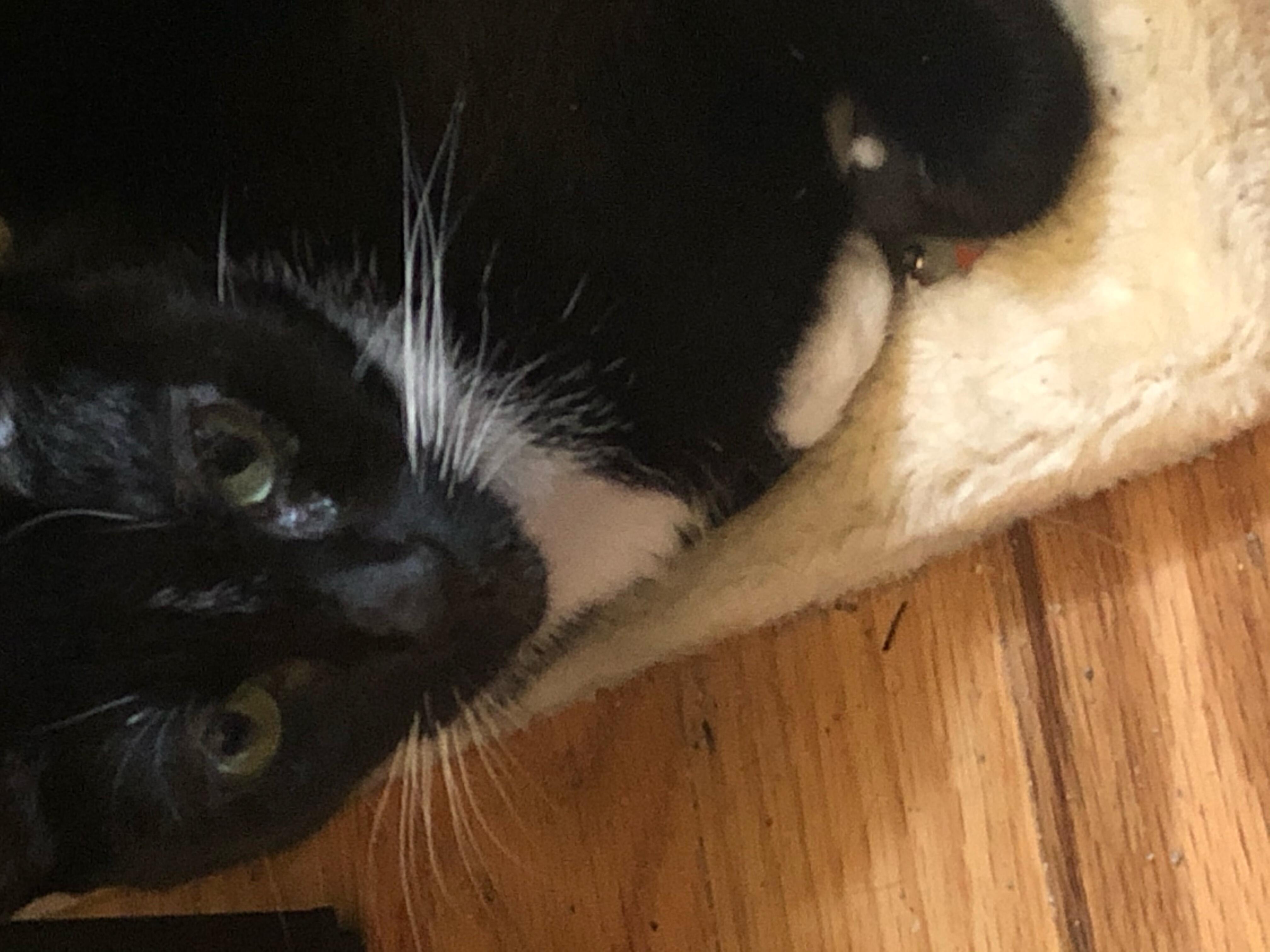 Question details sensitive content