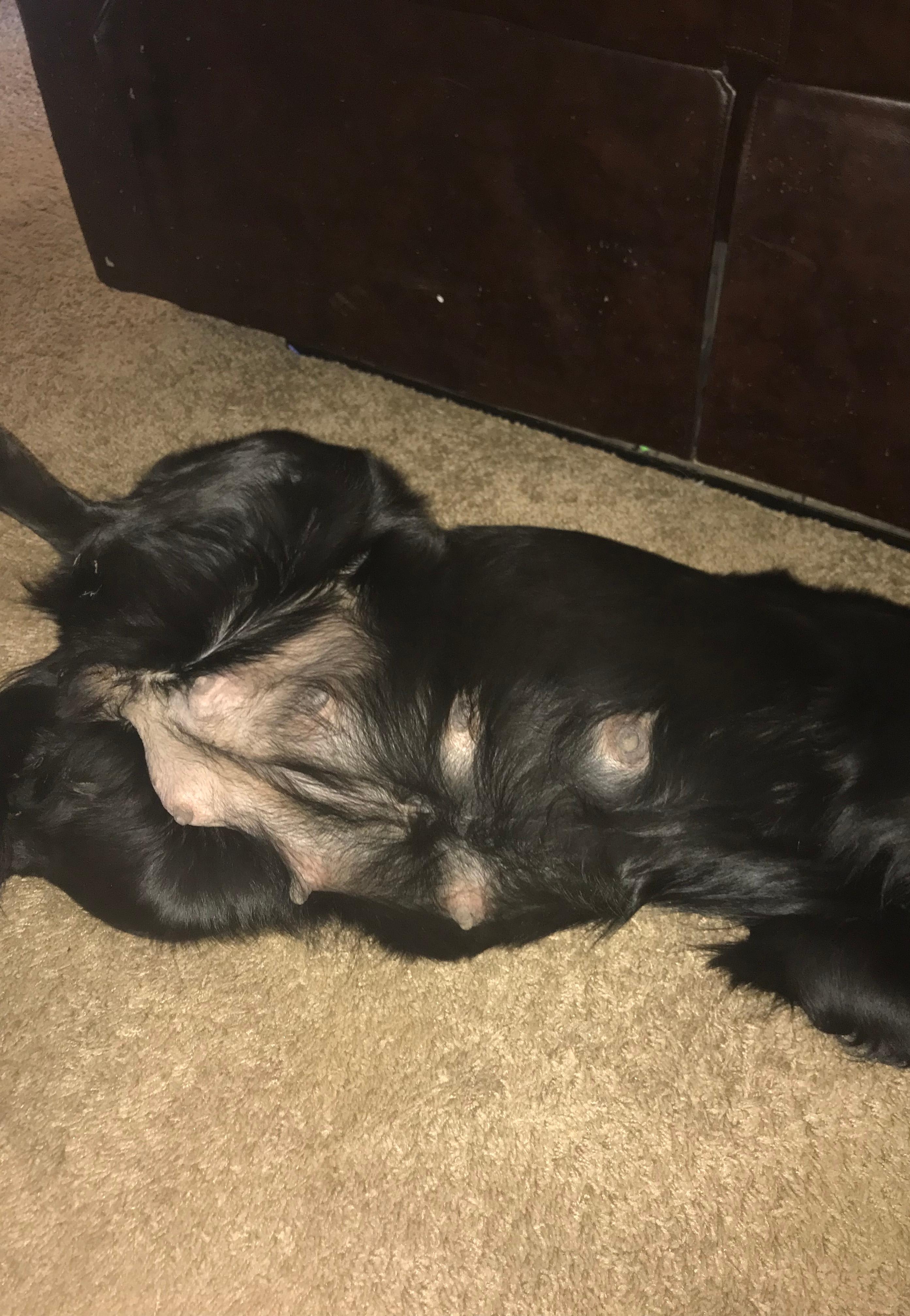 Question details sensitive content