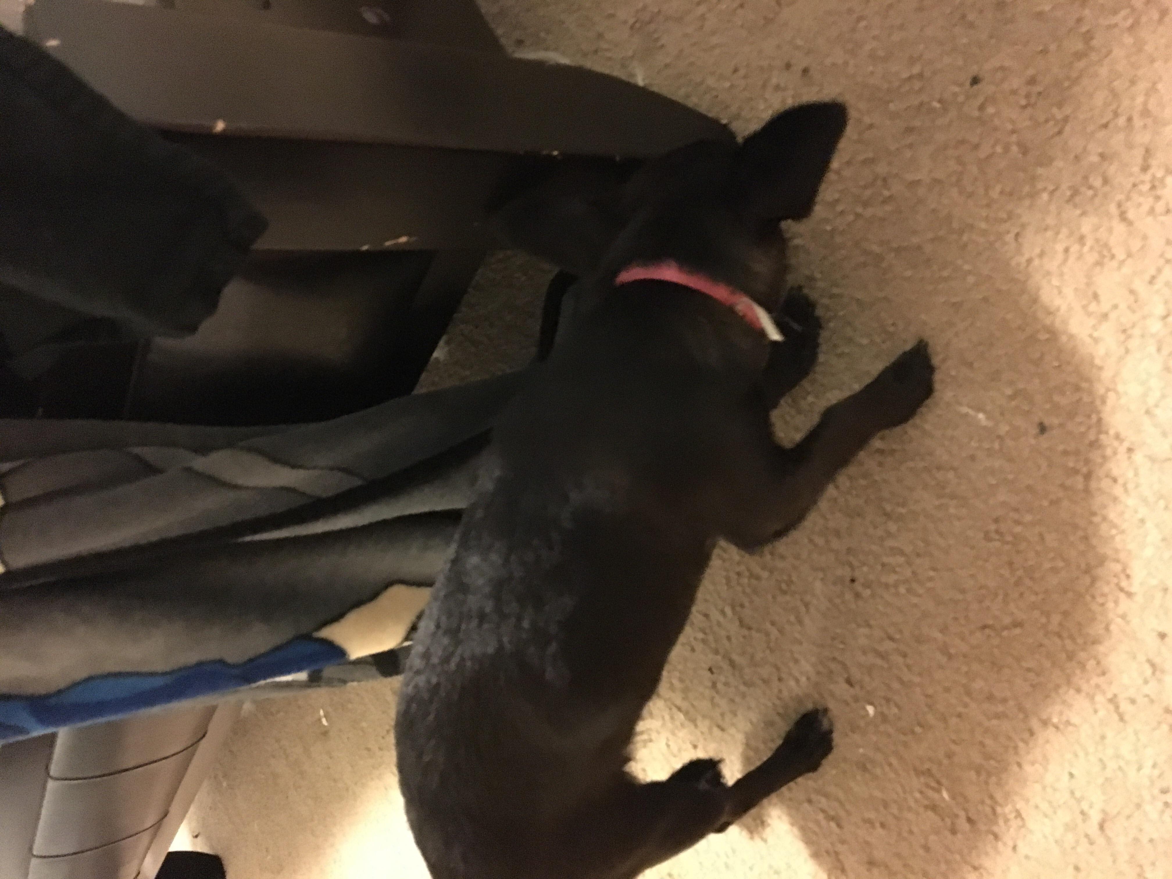 Question details sensitive content