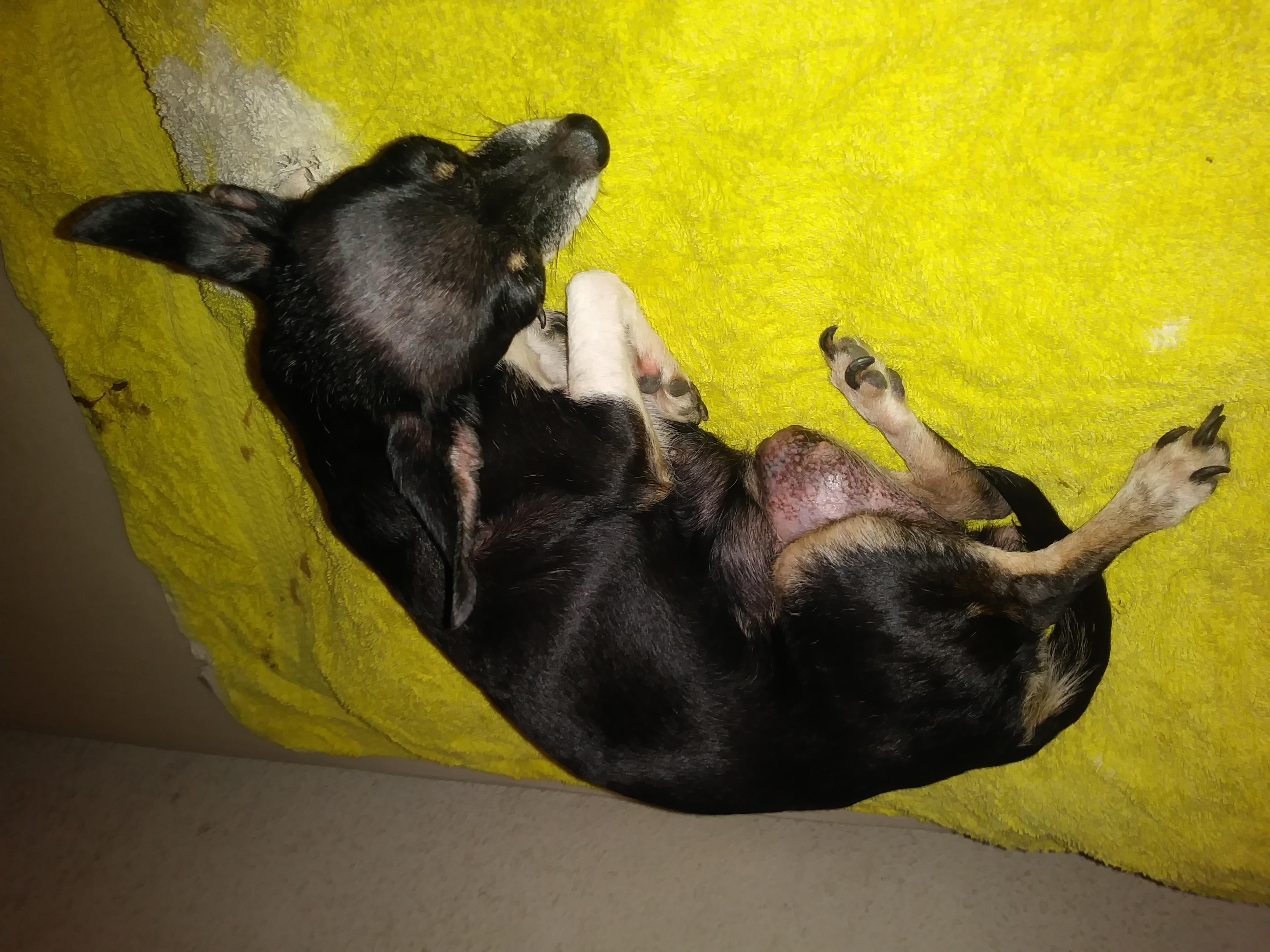 Question details sensitive content