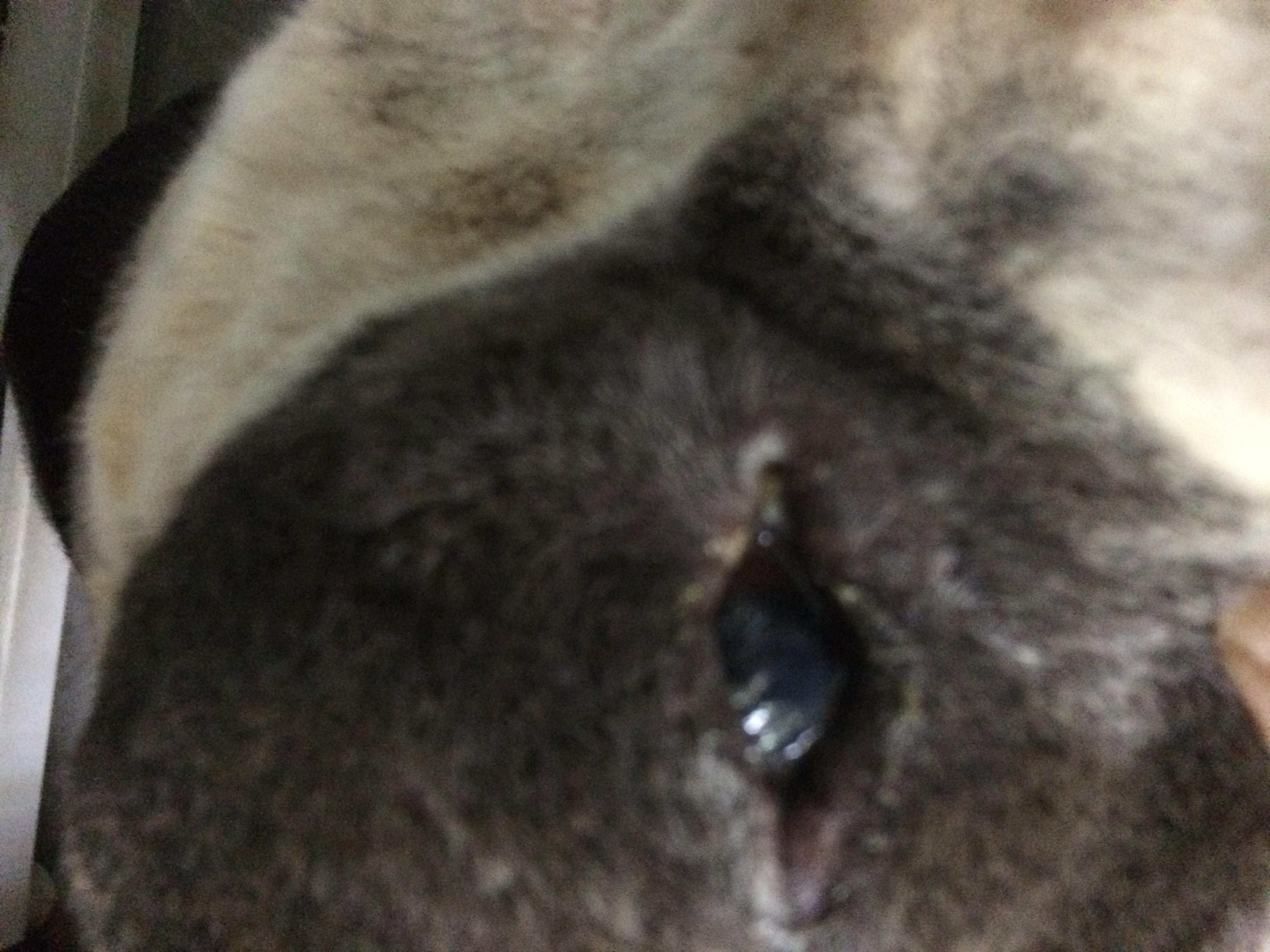 Question details sensitive content