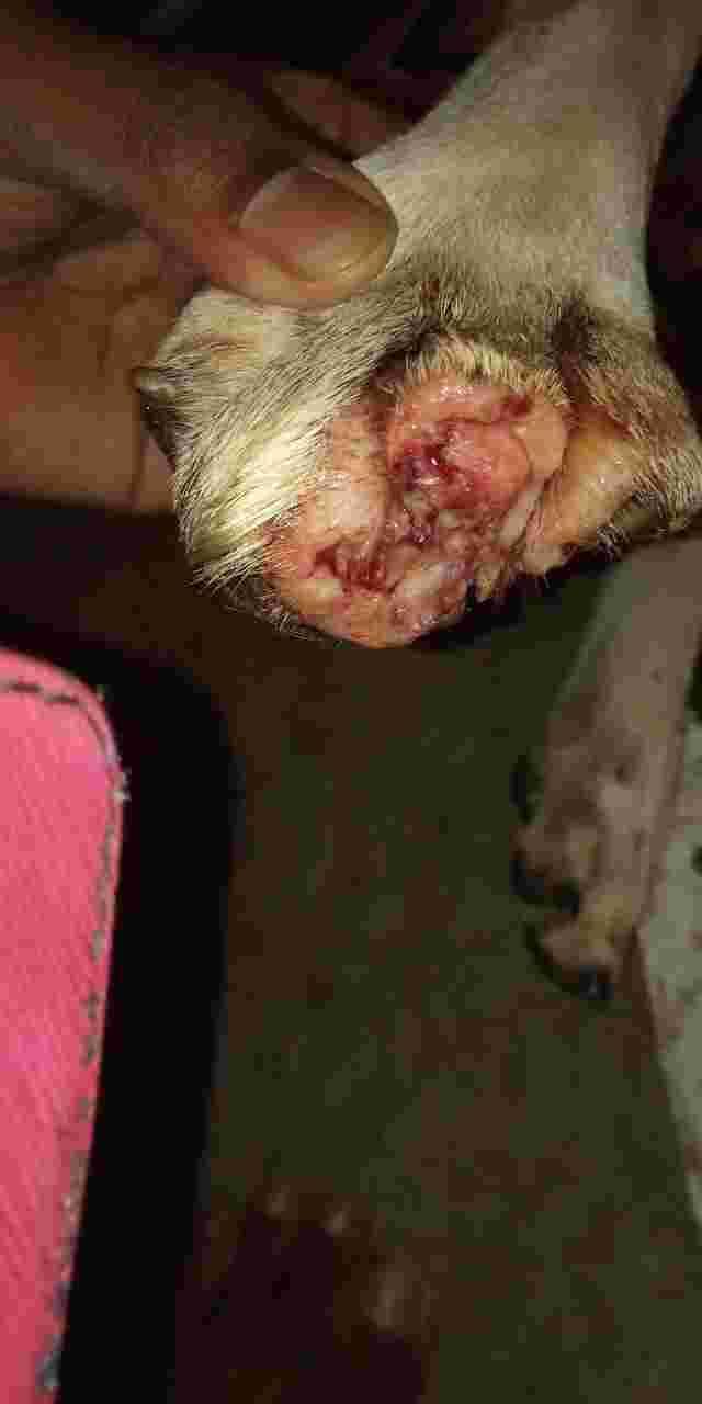 Question details sensitive content