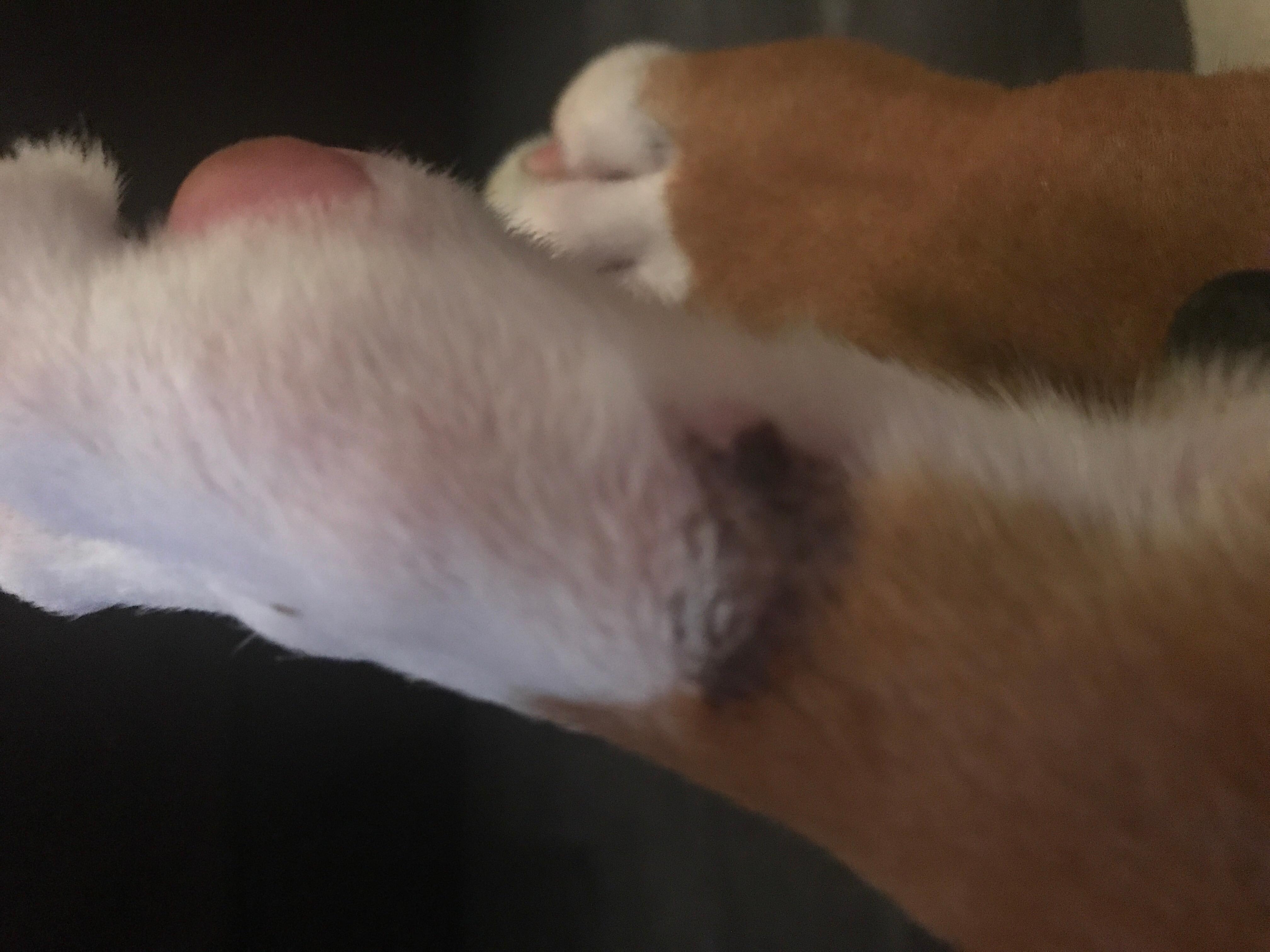 Question details sensitive content