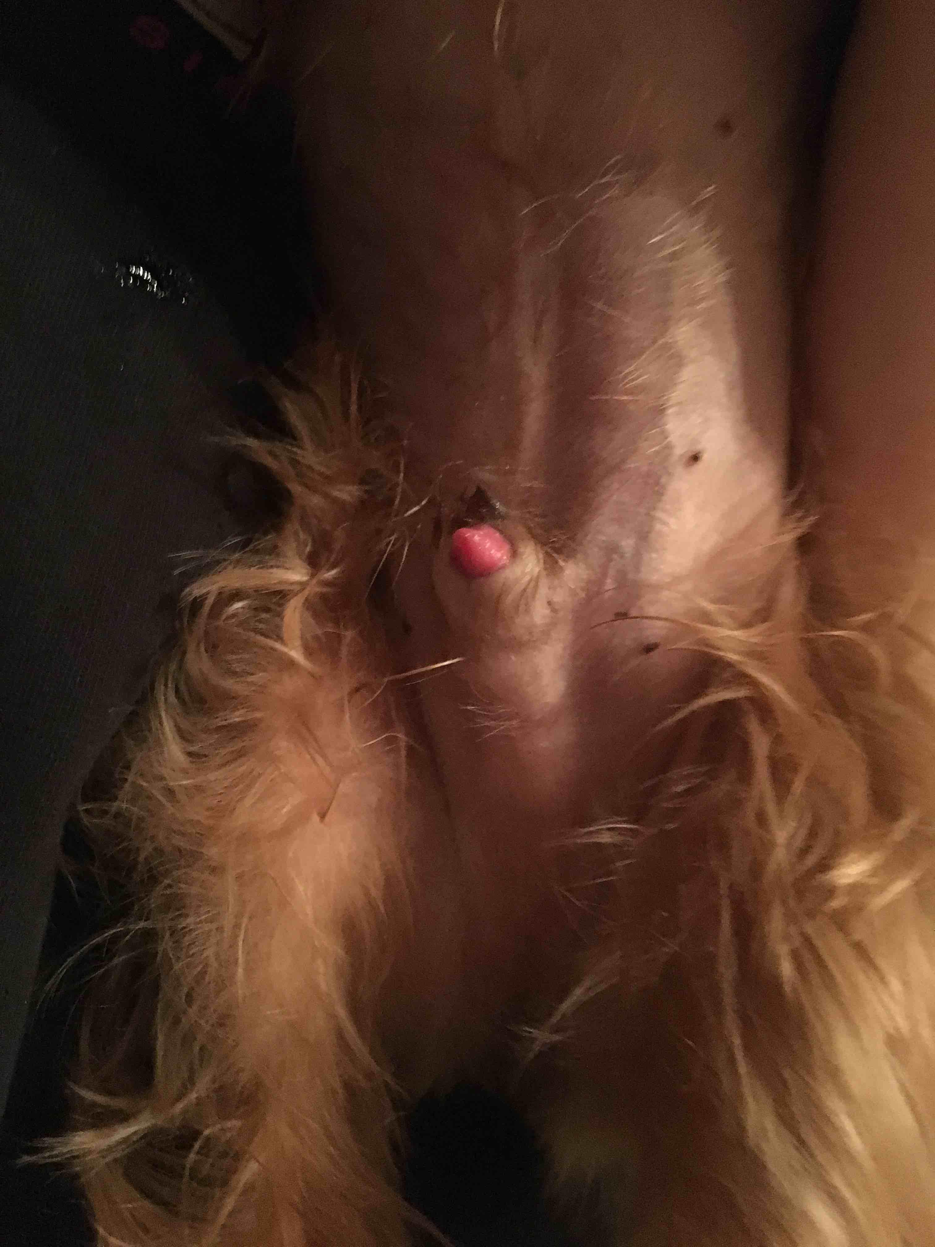 Question details sensitive content