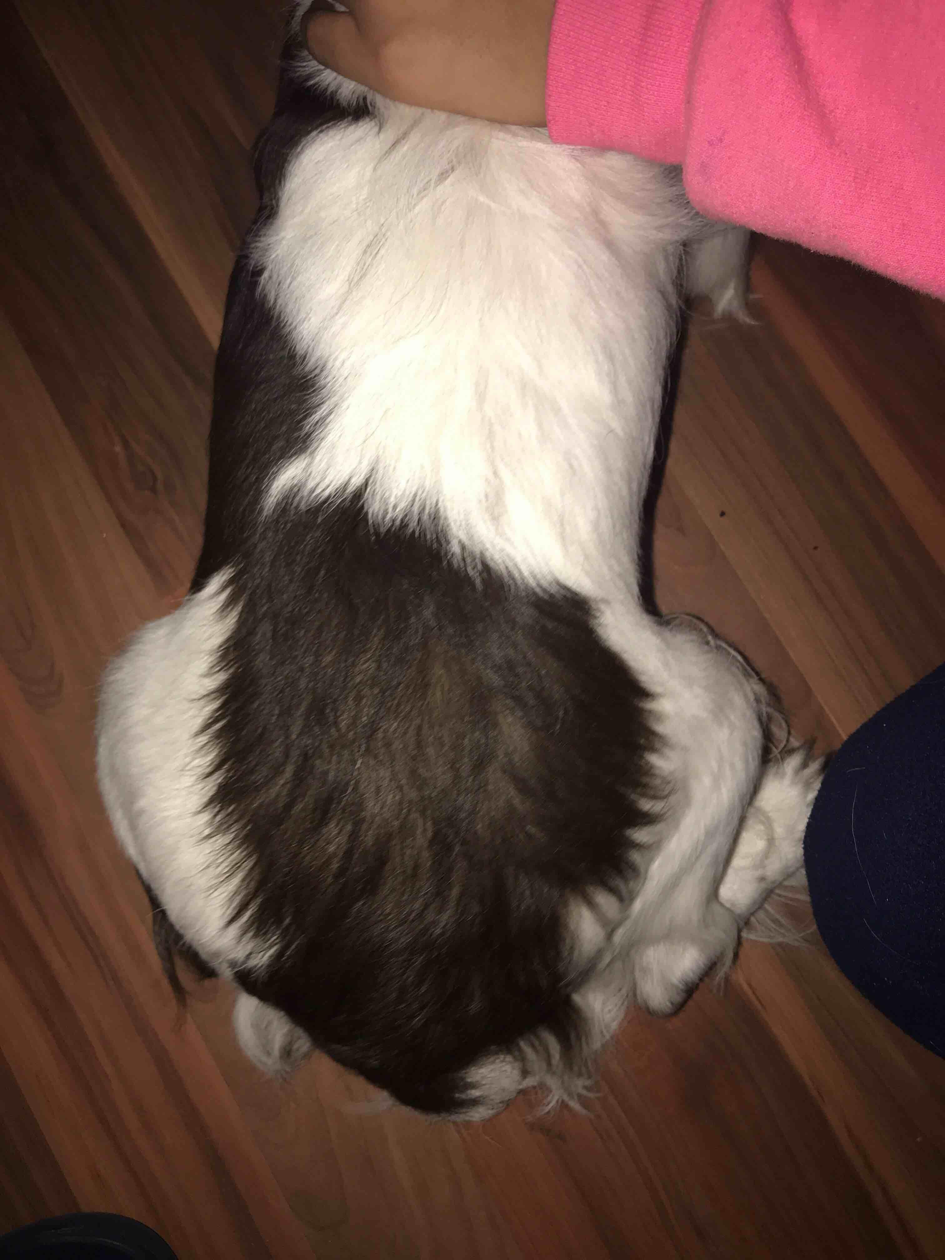 Question details sensitive content