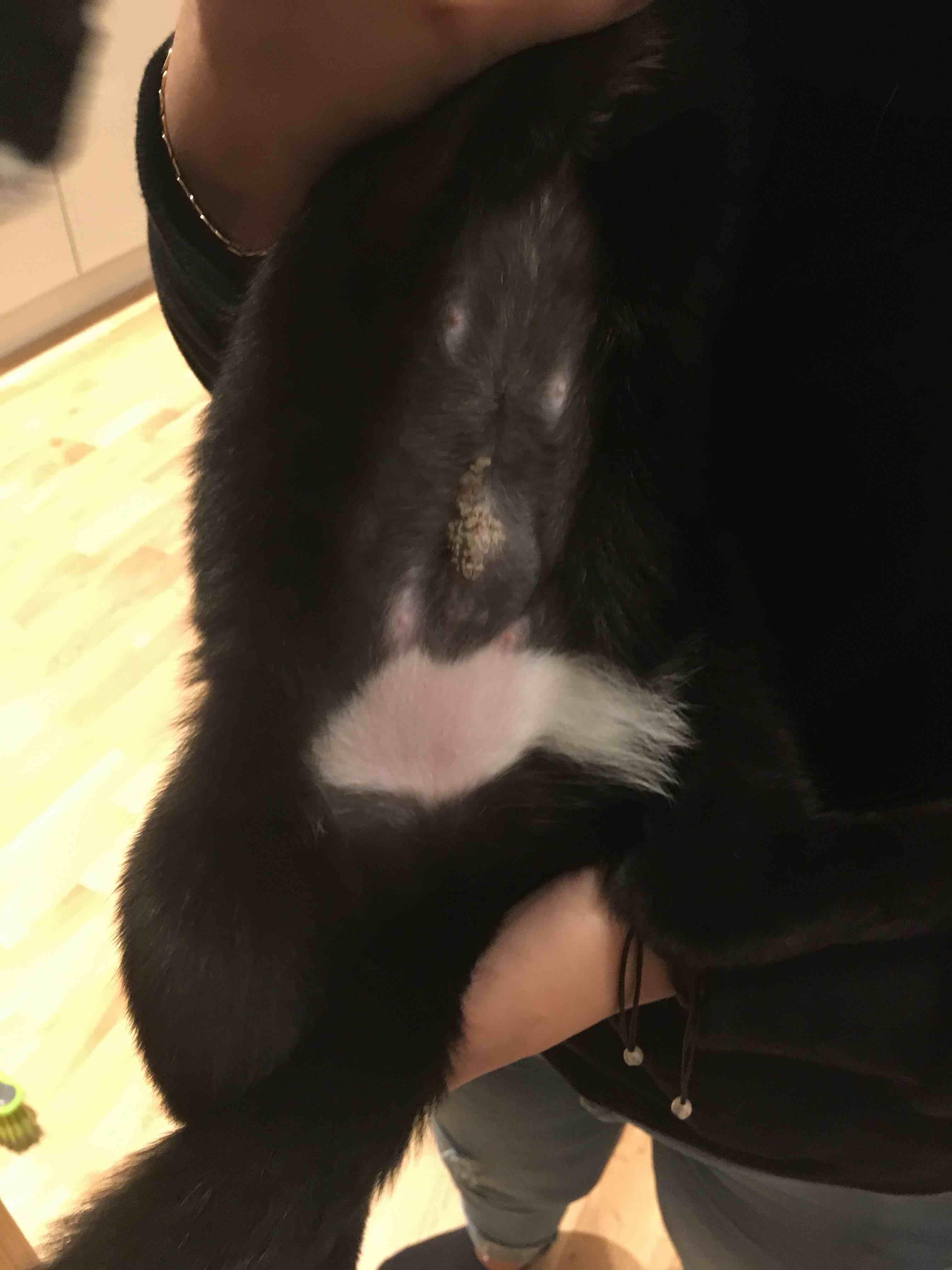 Question details sensitive content