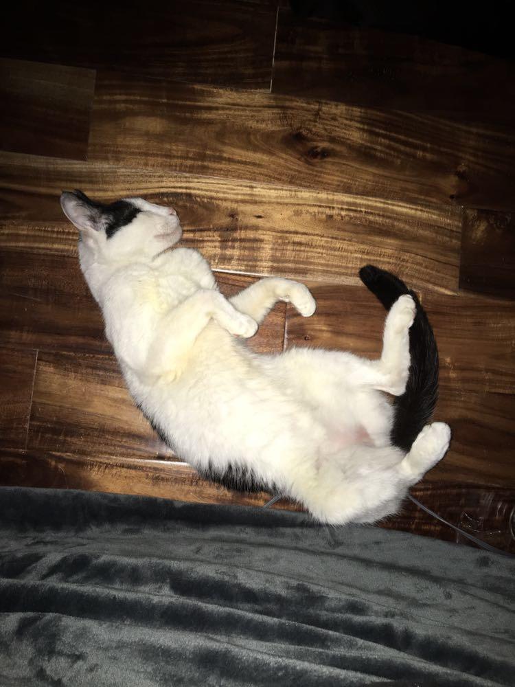 Question details sensitive content