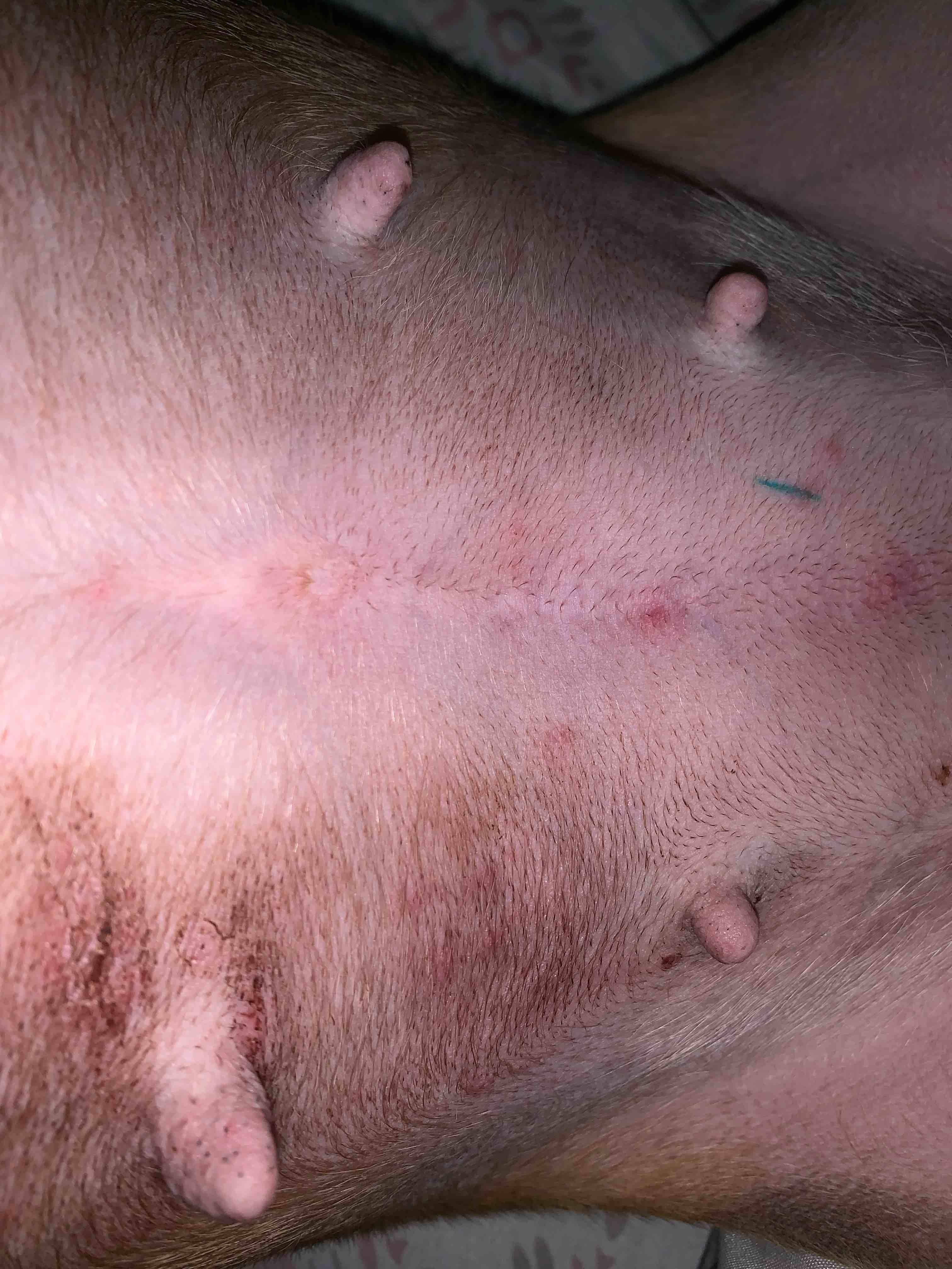 Question details sensitive content