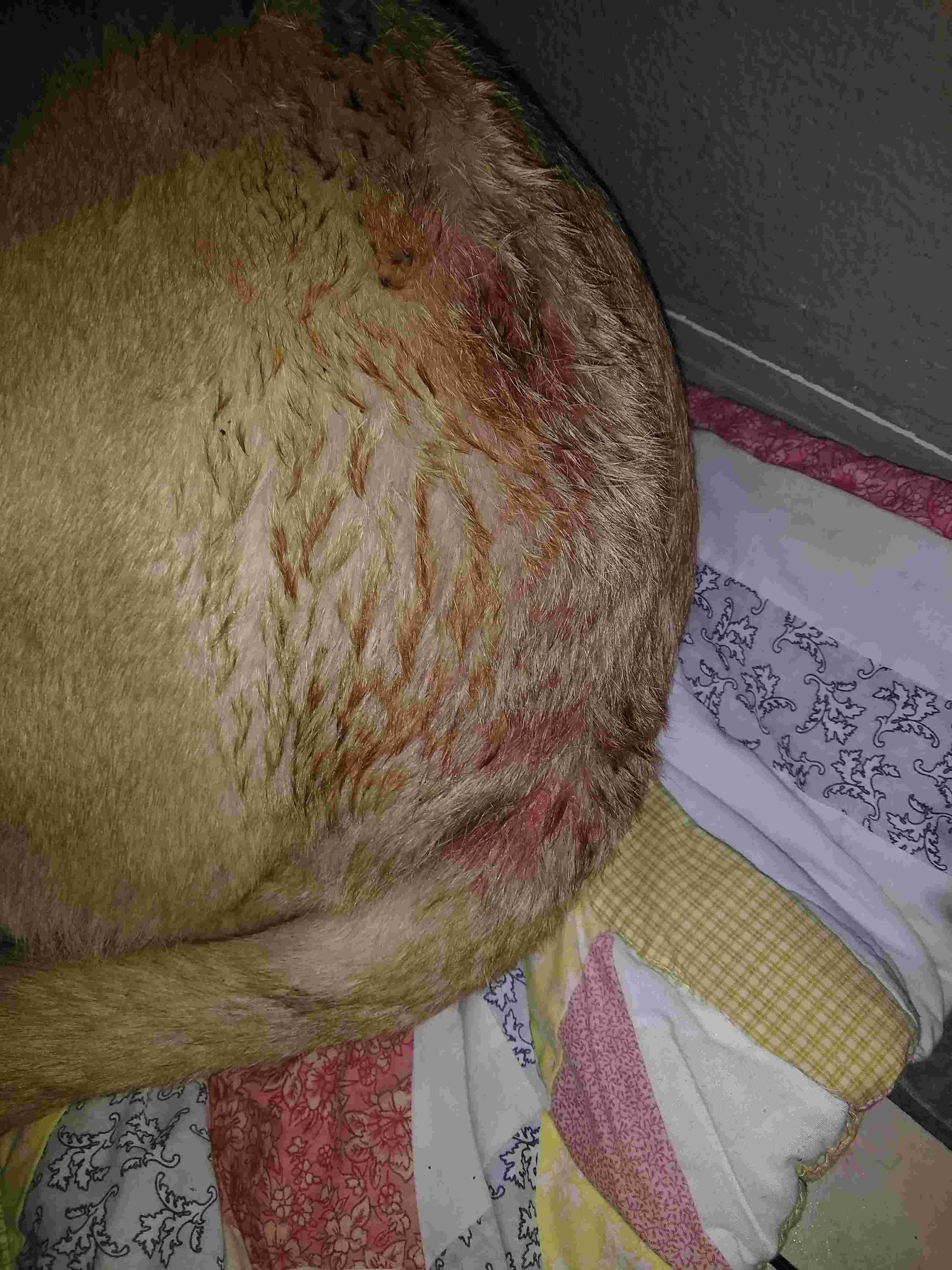 Question details sensitive content