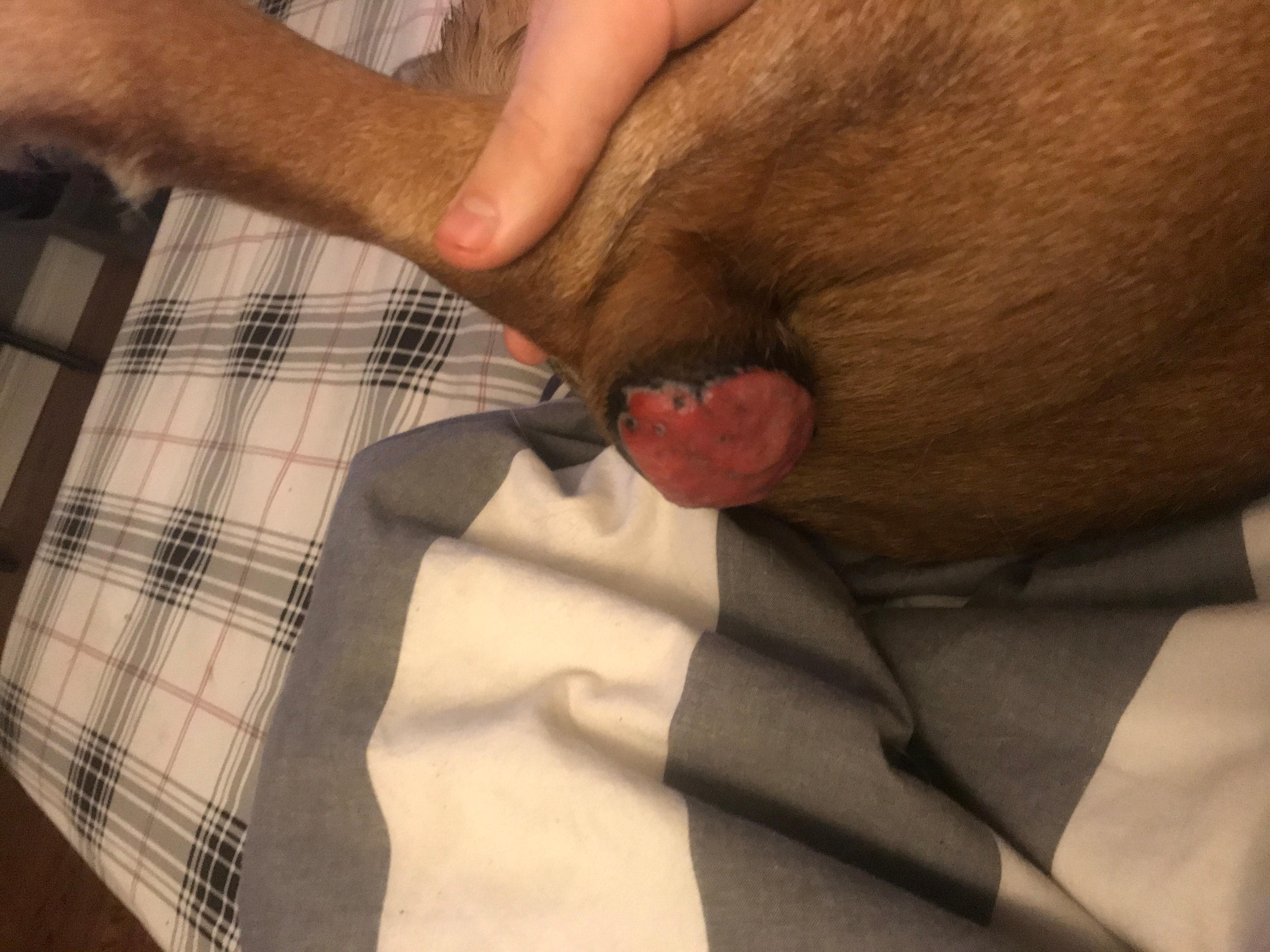 Question details sensitive content