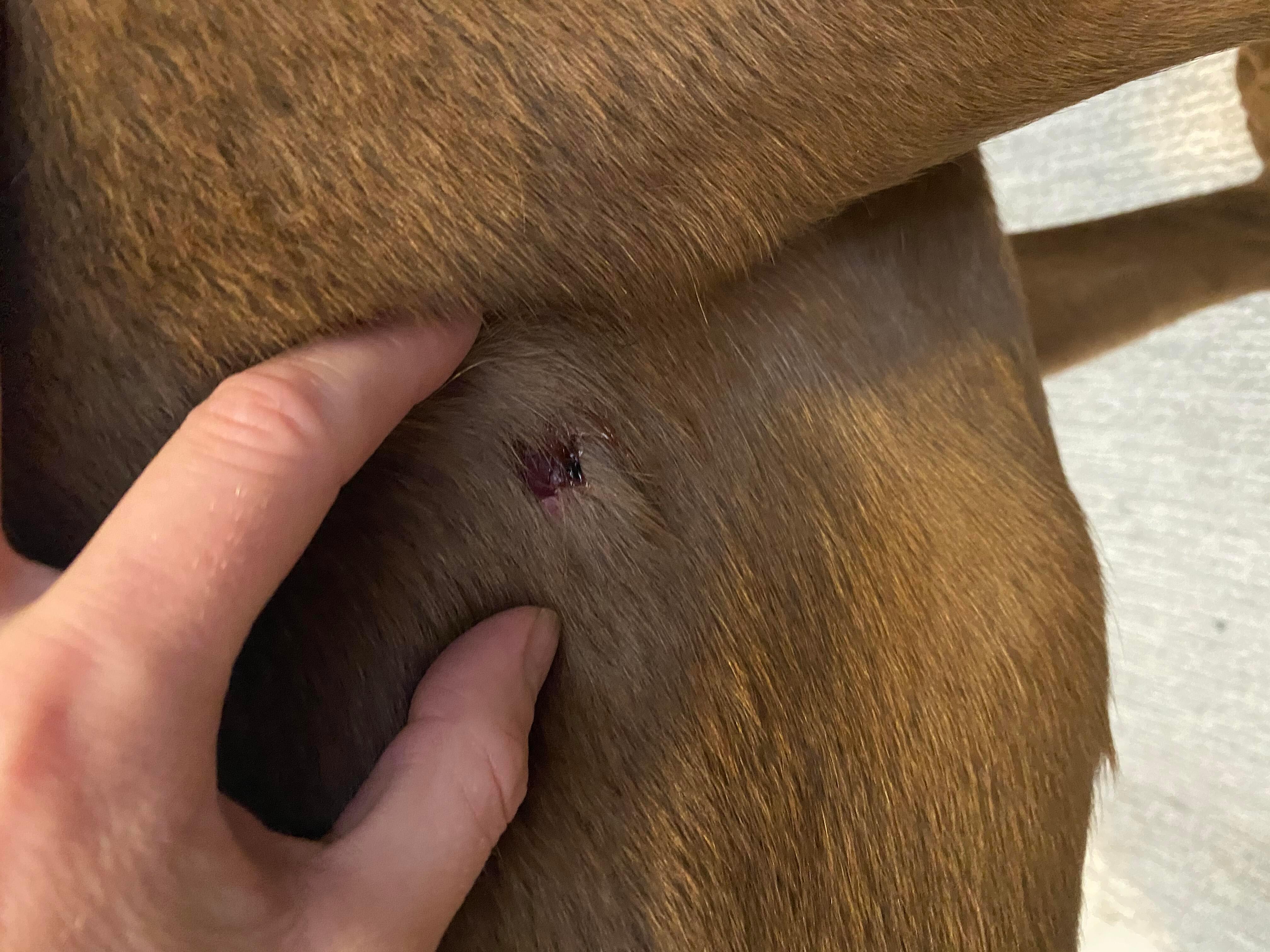 Question details sensitive content