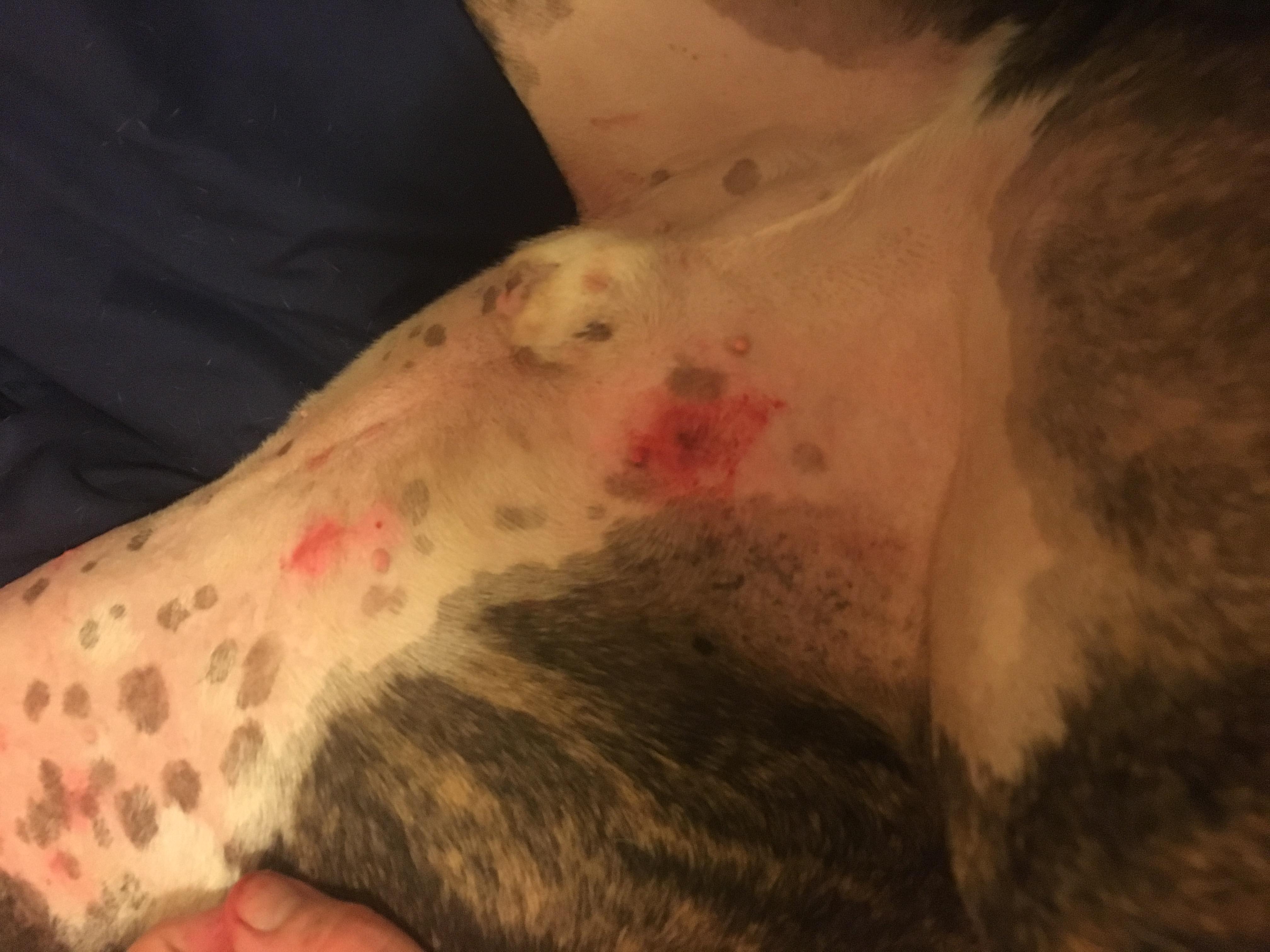 Question details sensitive content