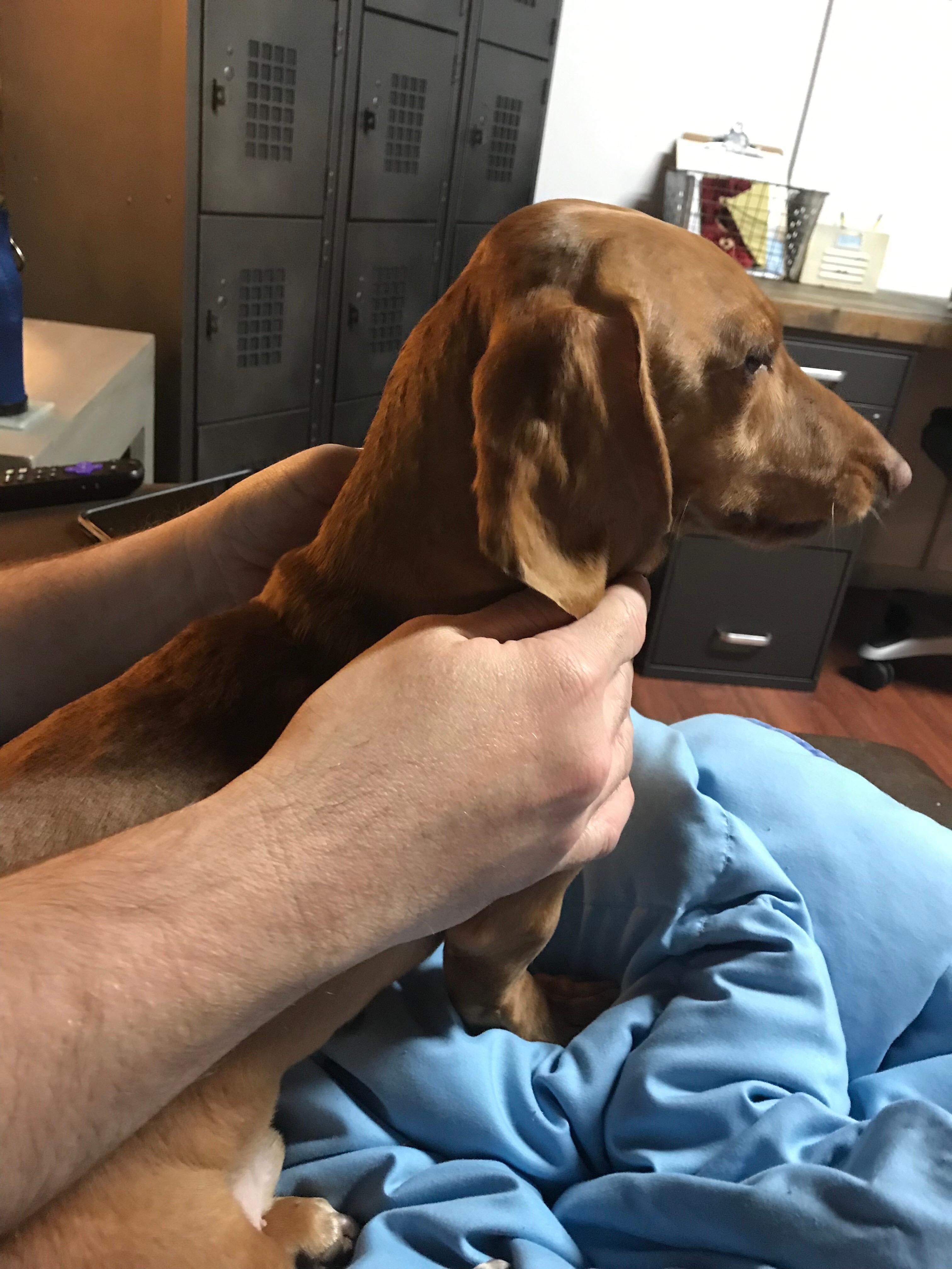 Question details sensitive content