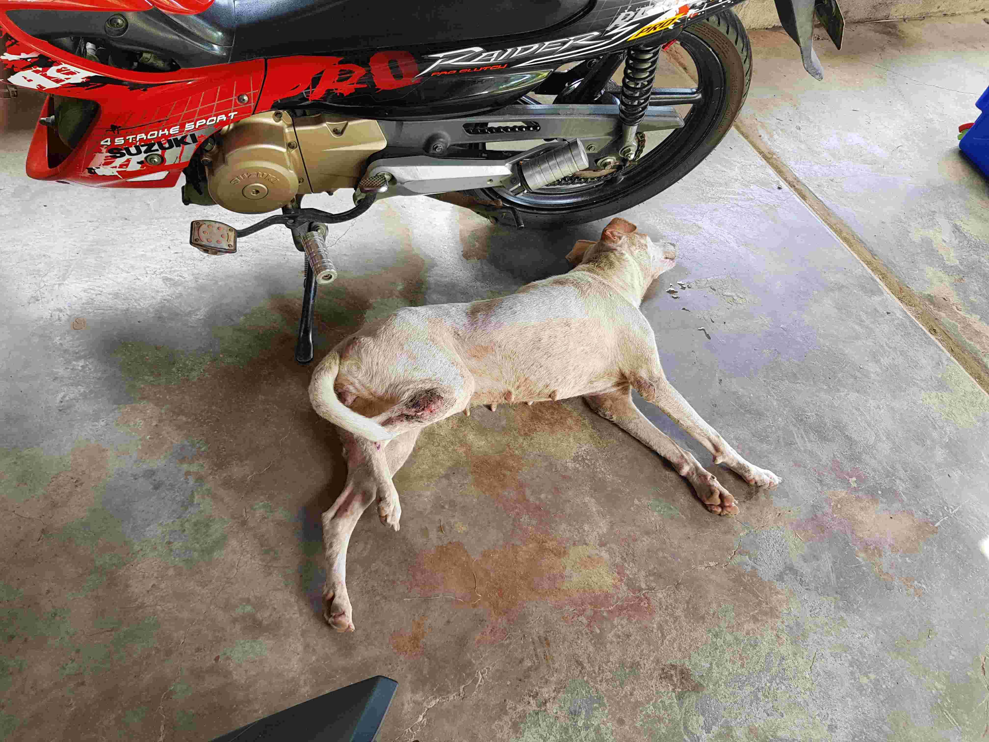 Question details sensitive content