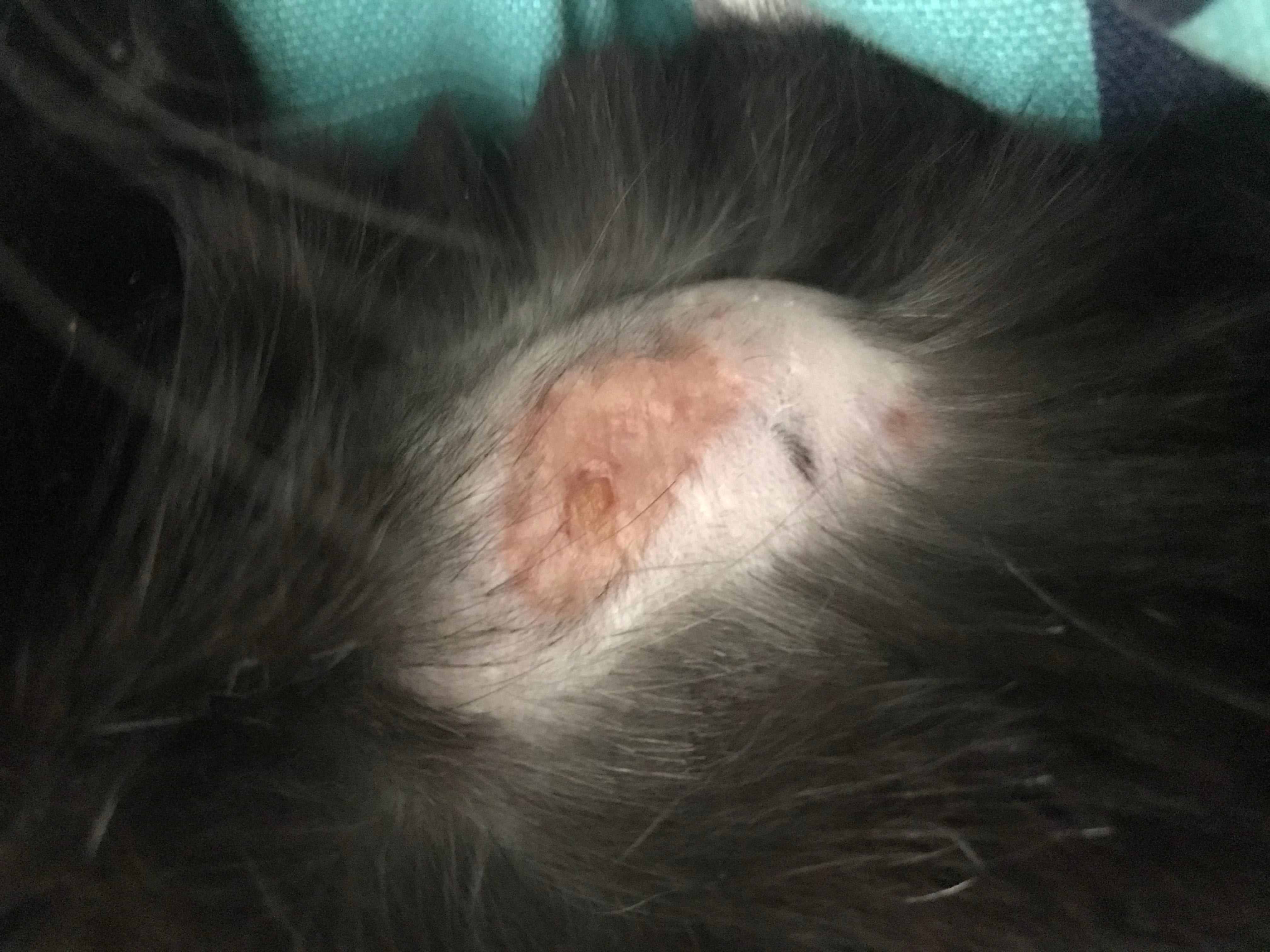 Question details sensitive content