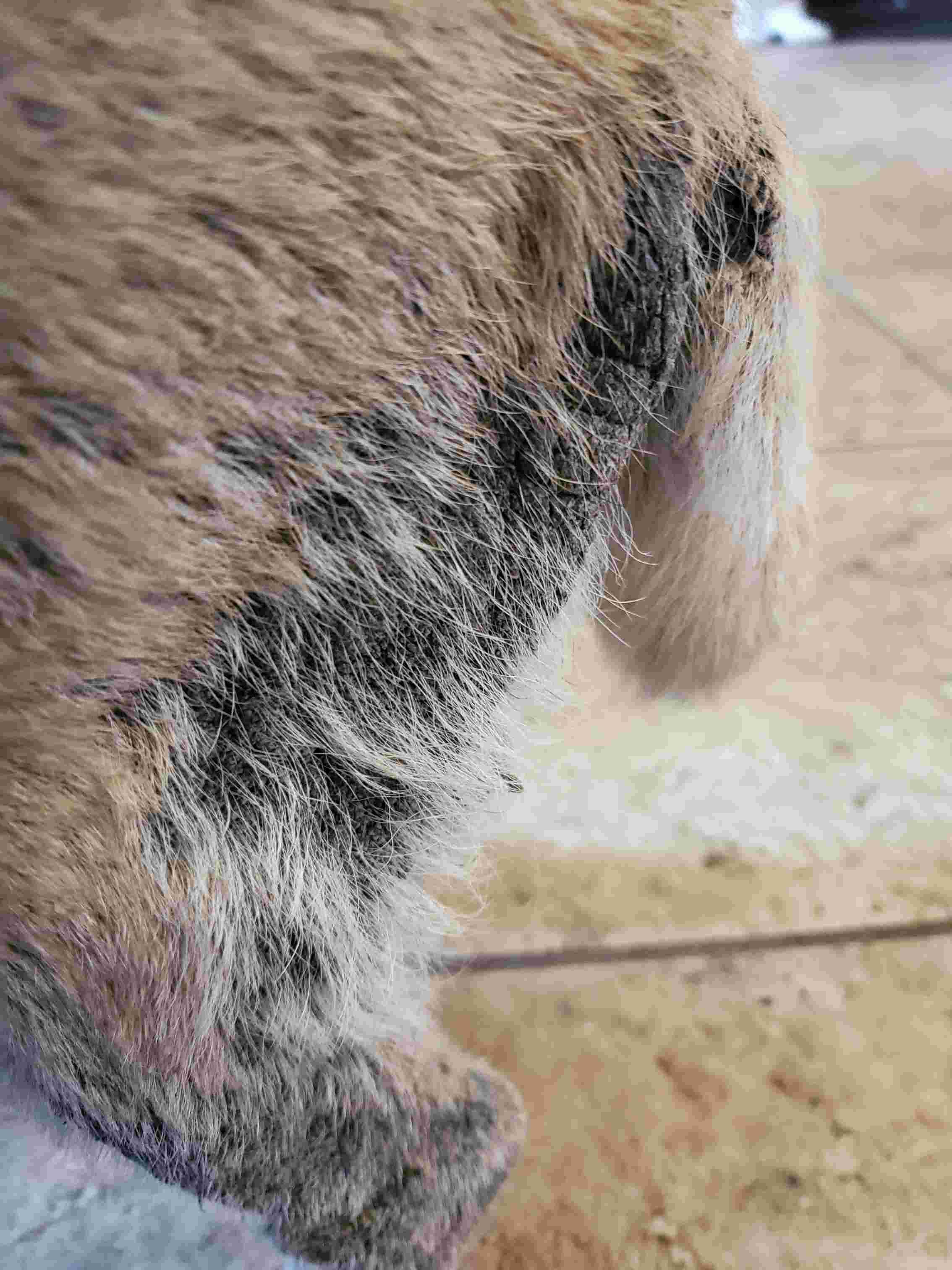 Question details sensitive content