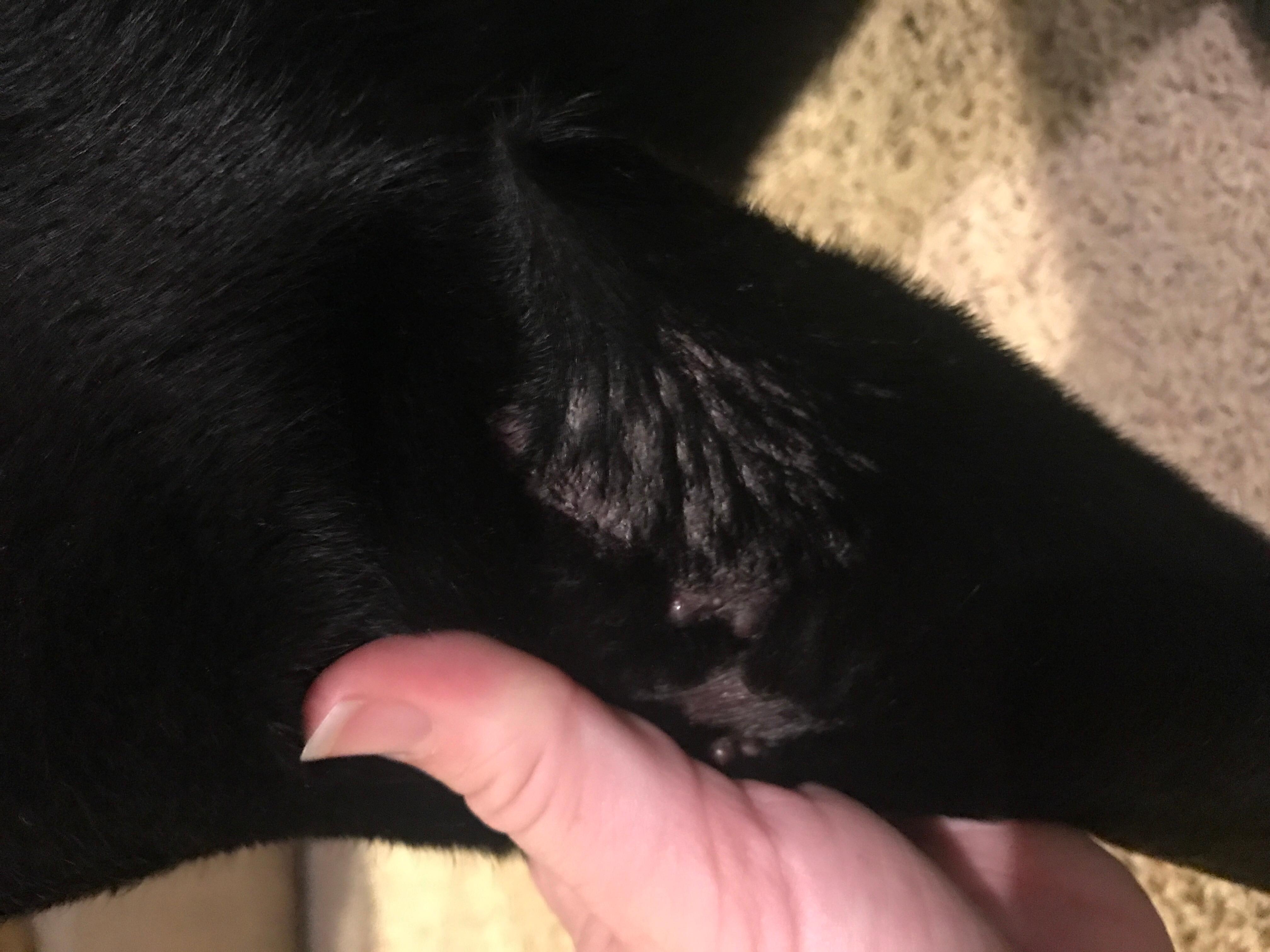 Question details sensitive content