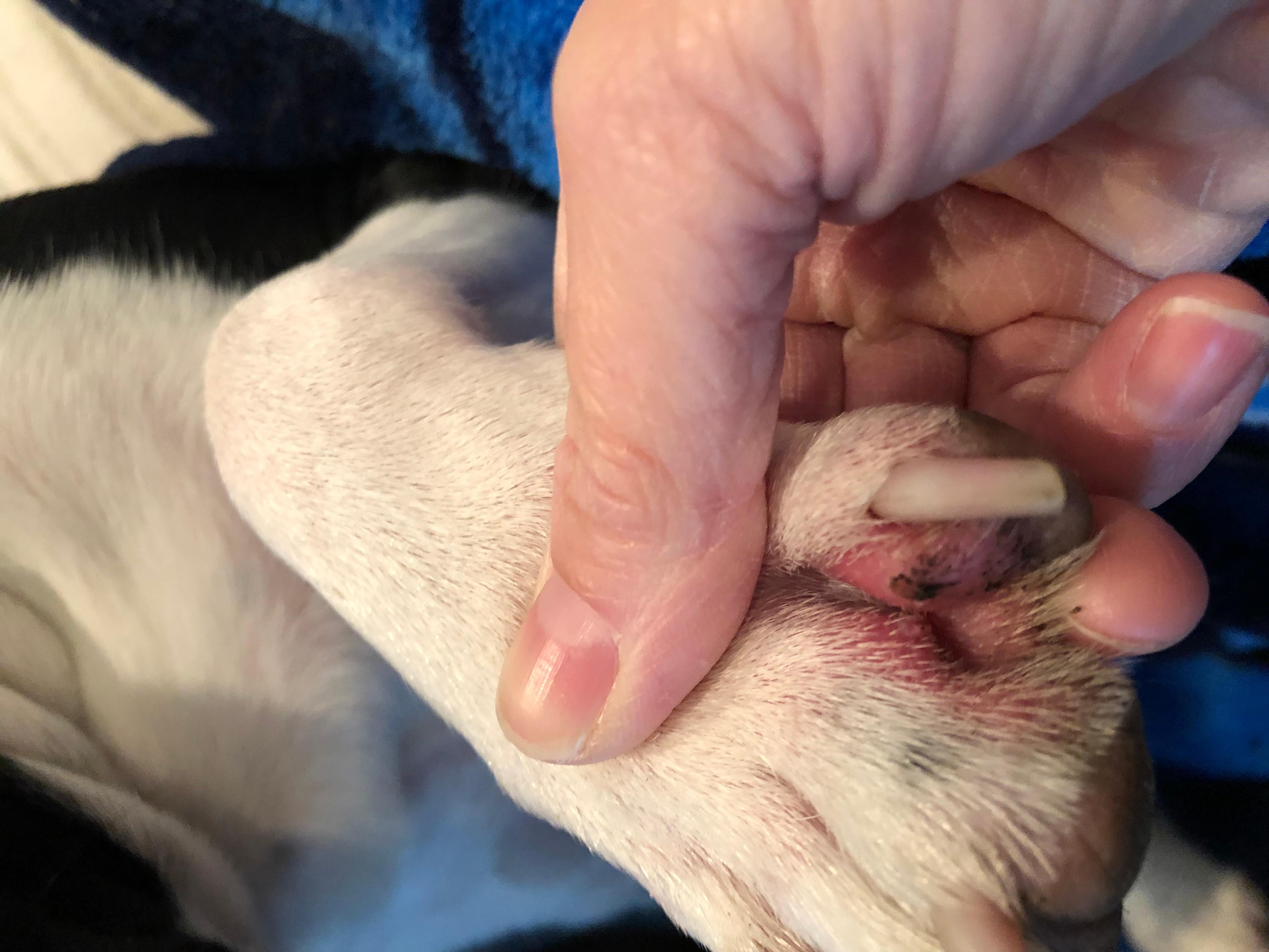 Question details sensitive content