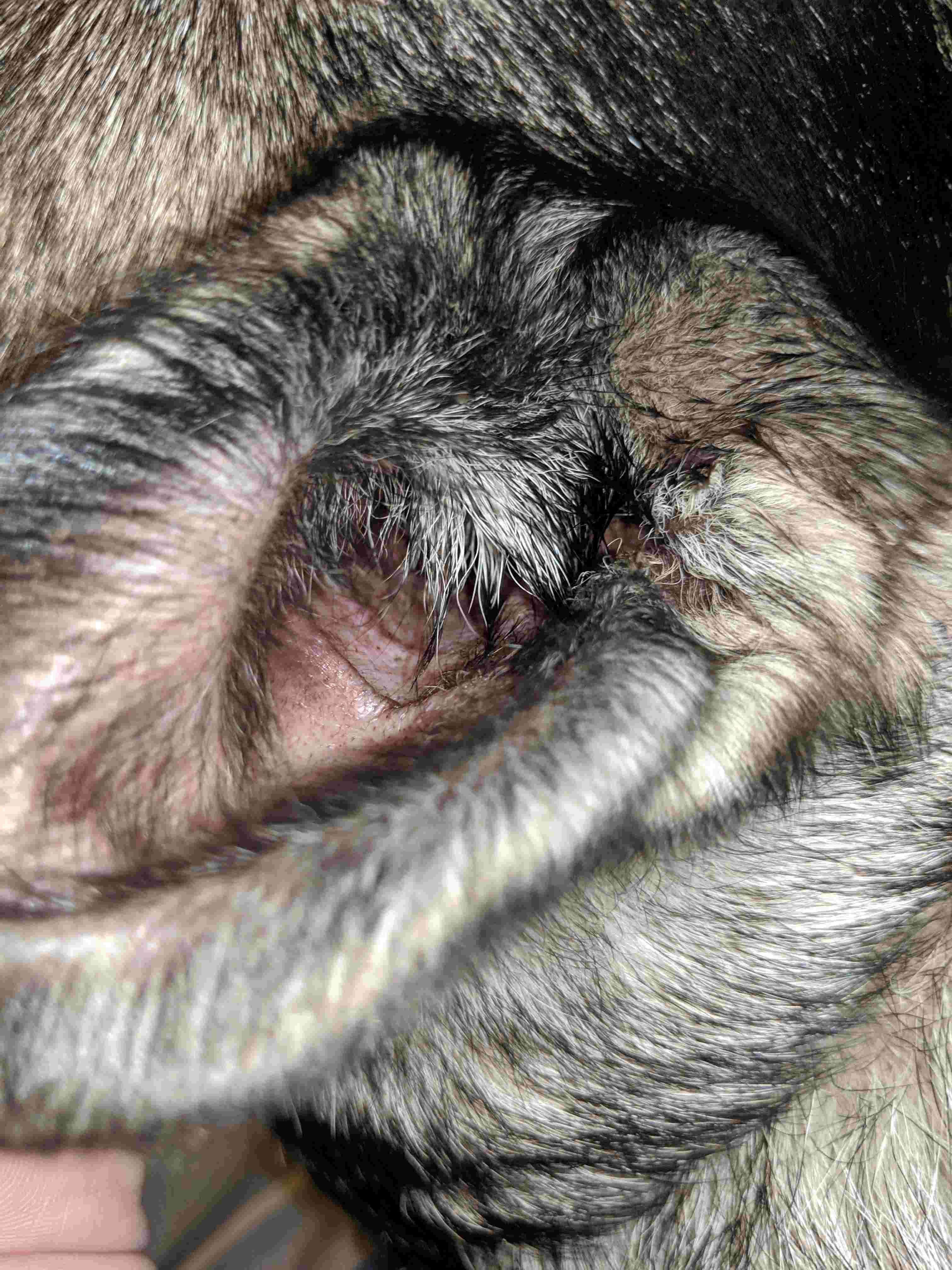 Question details sensitive content