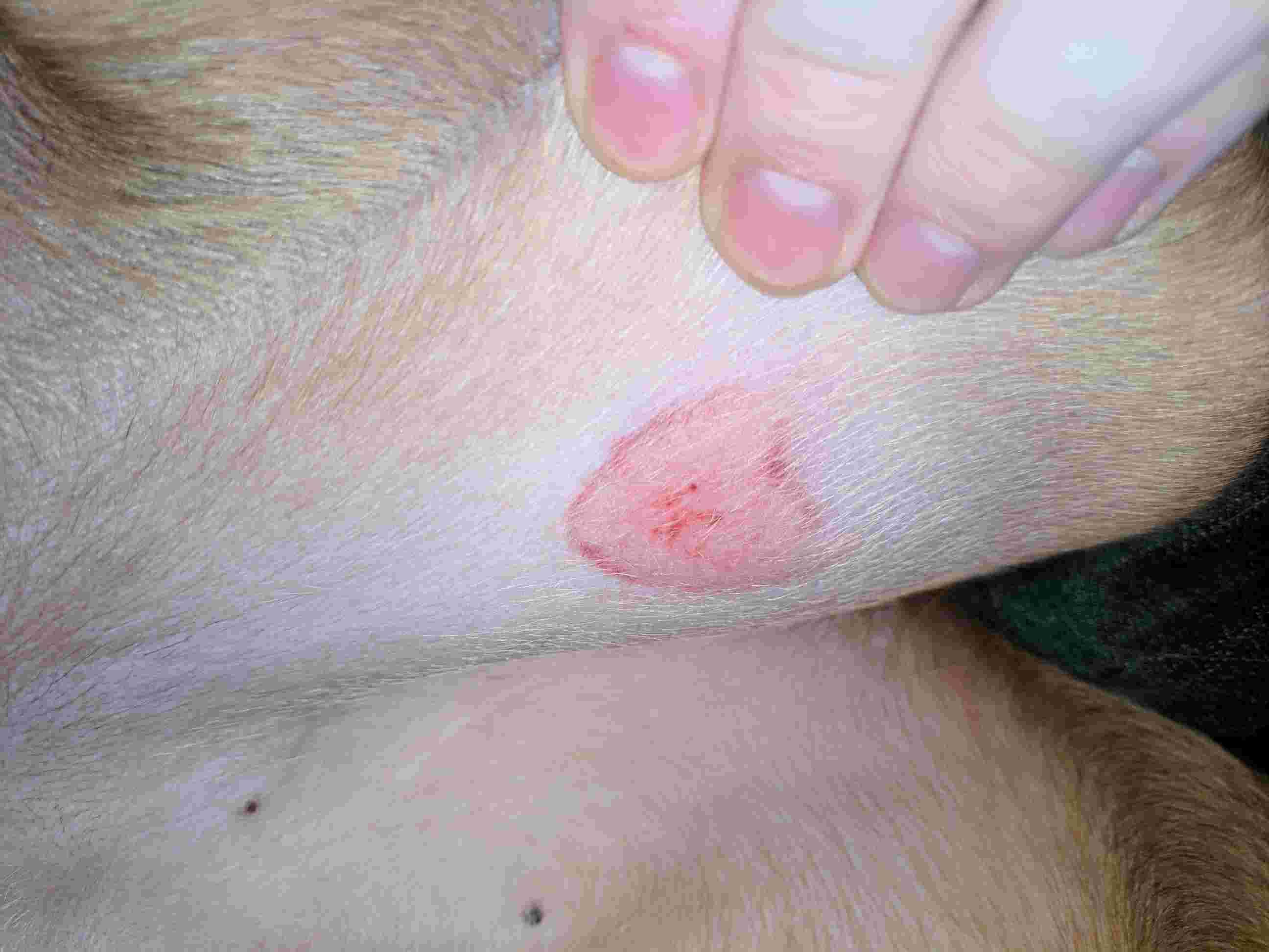 Question details sensitive content