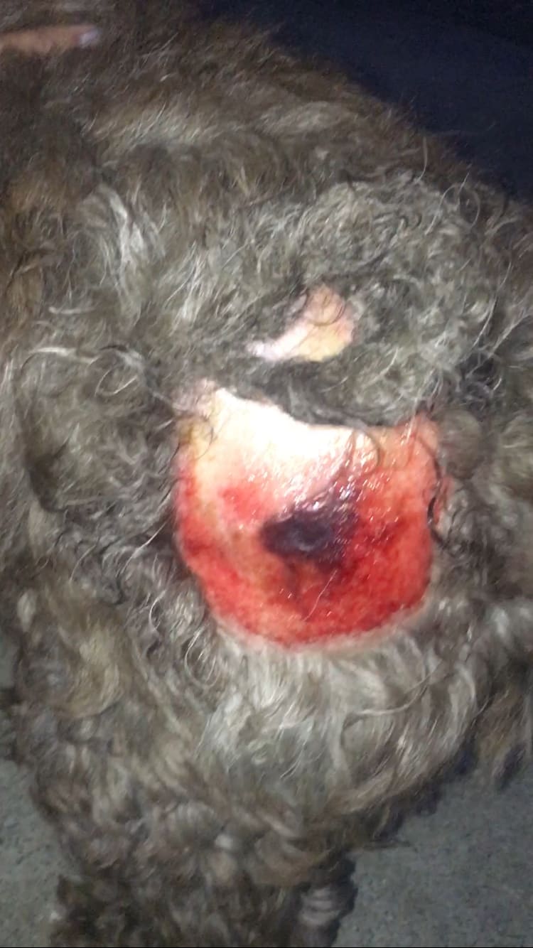 Question details sensitive content