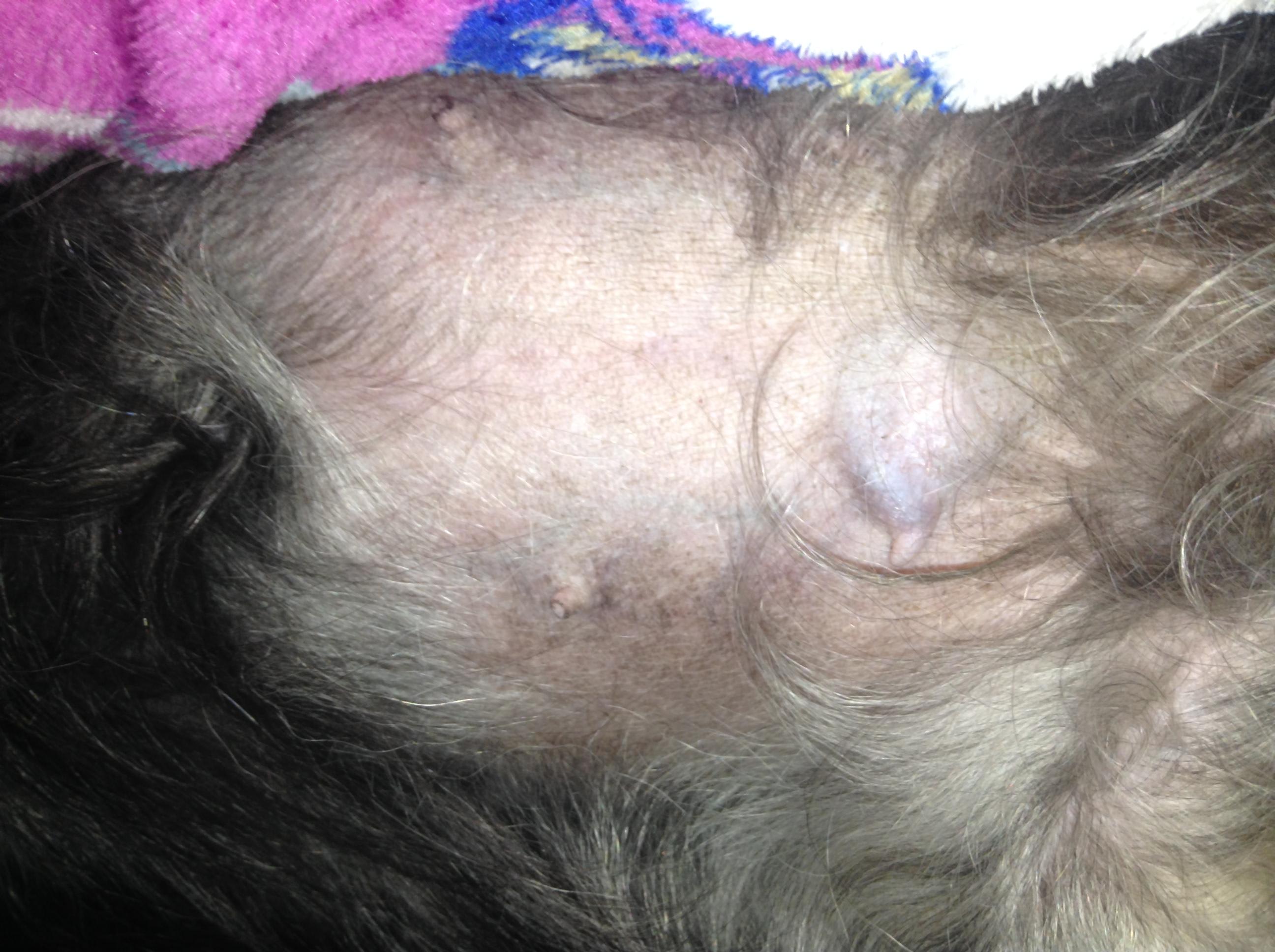 Question details sensitive content