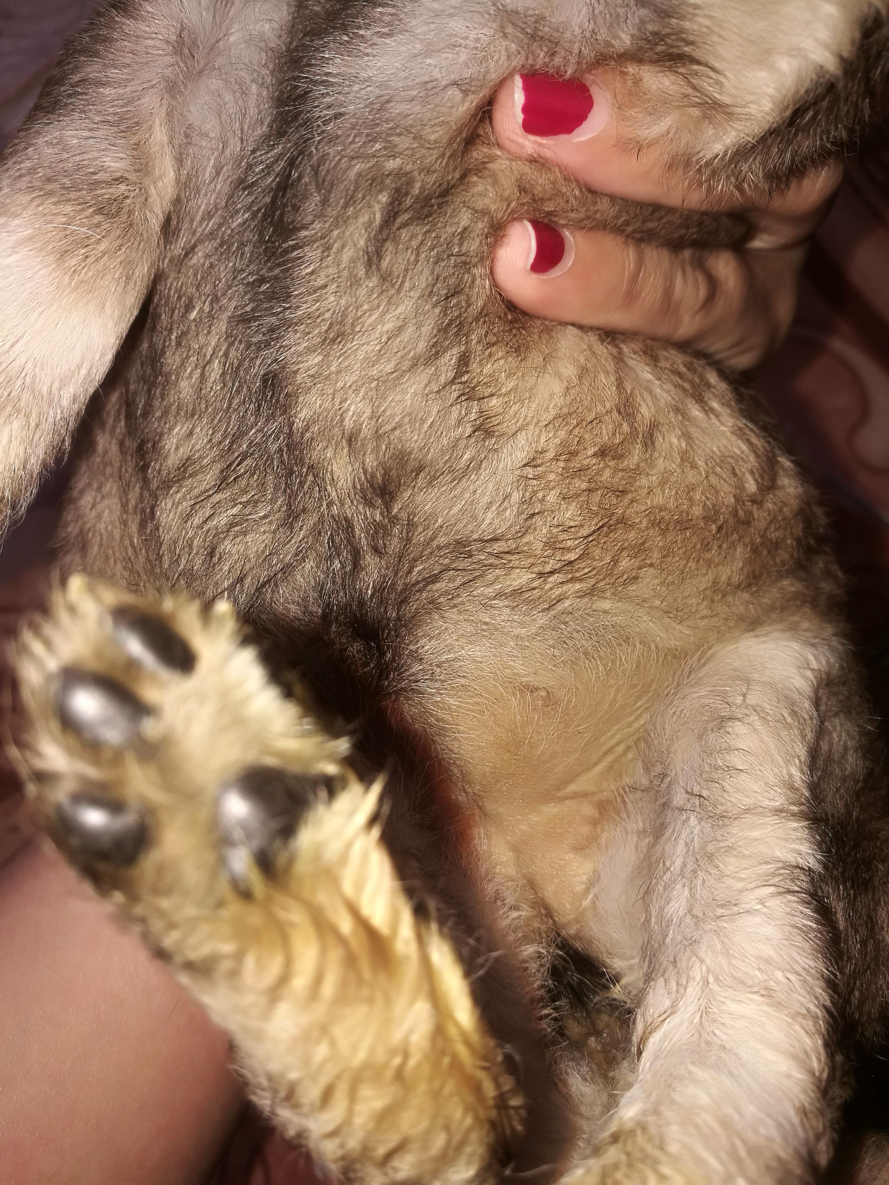 Question details sensitive content