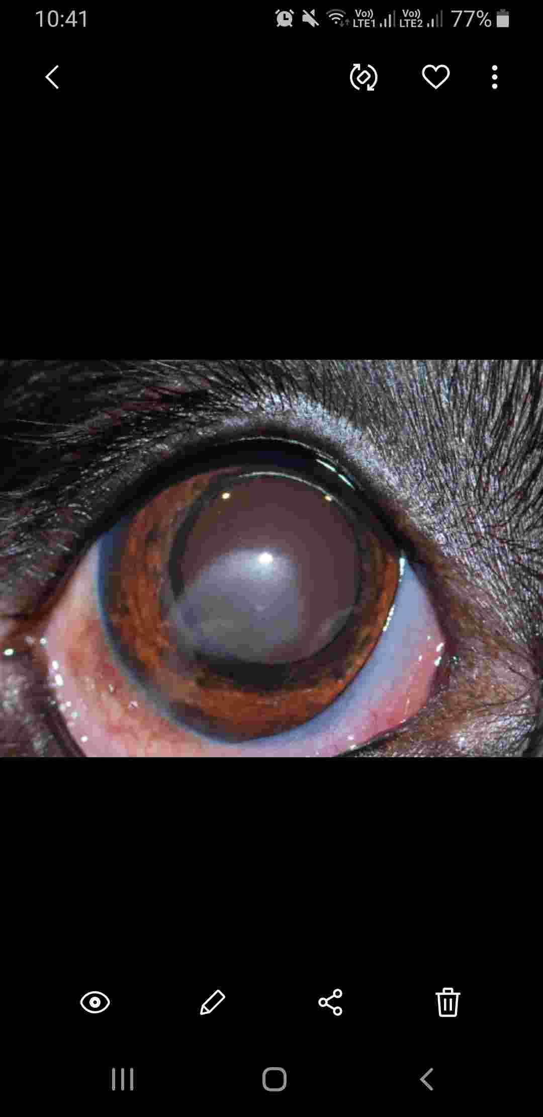 Question details sensitive content