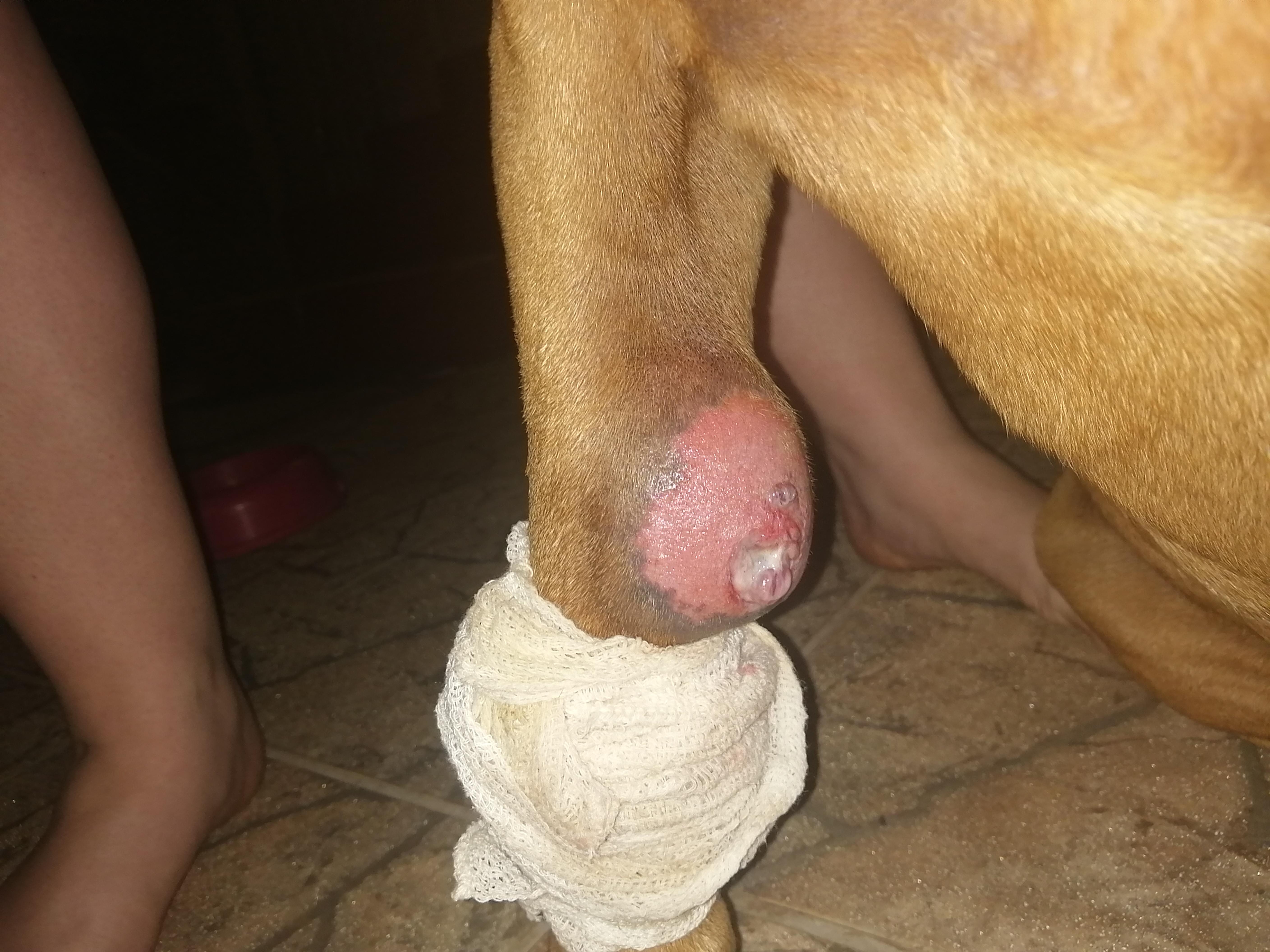 Question details sensitive content