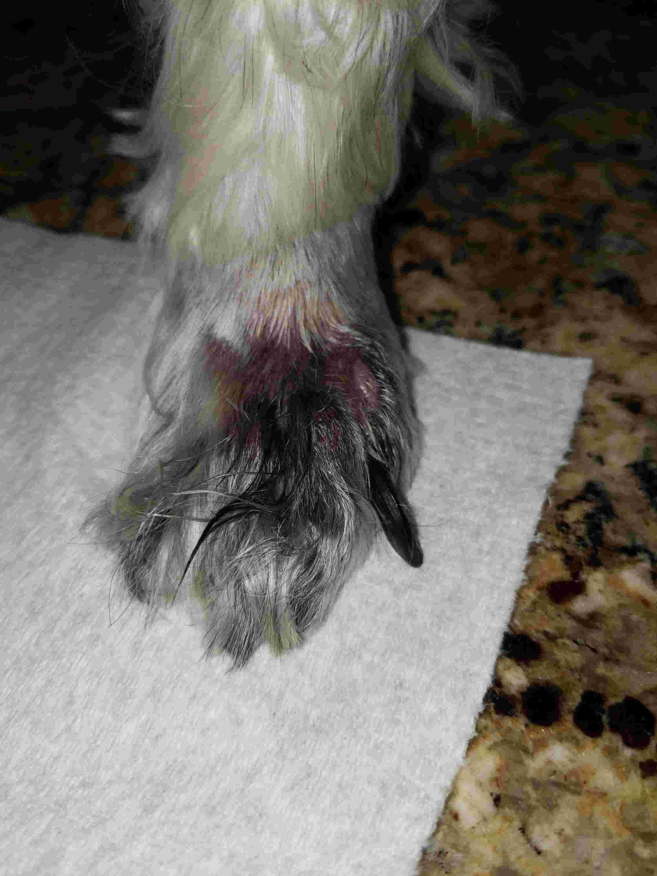 Question details sensitive content