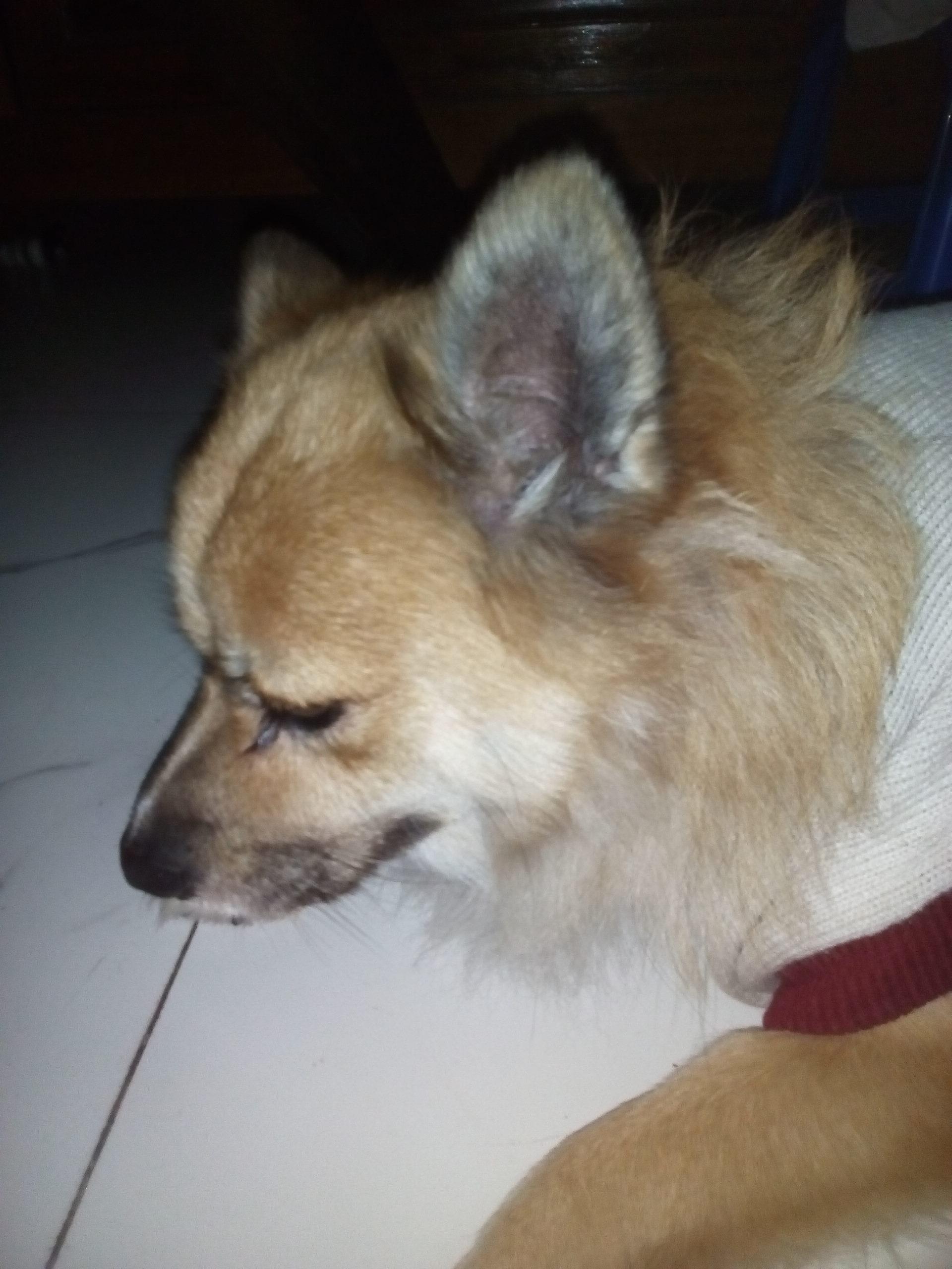 Question details sensitive content