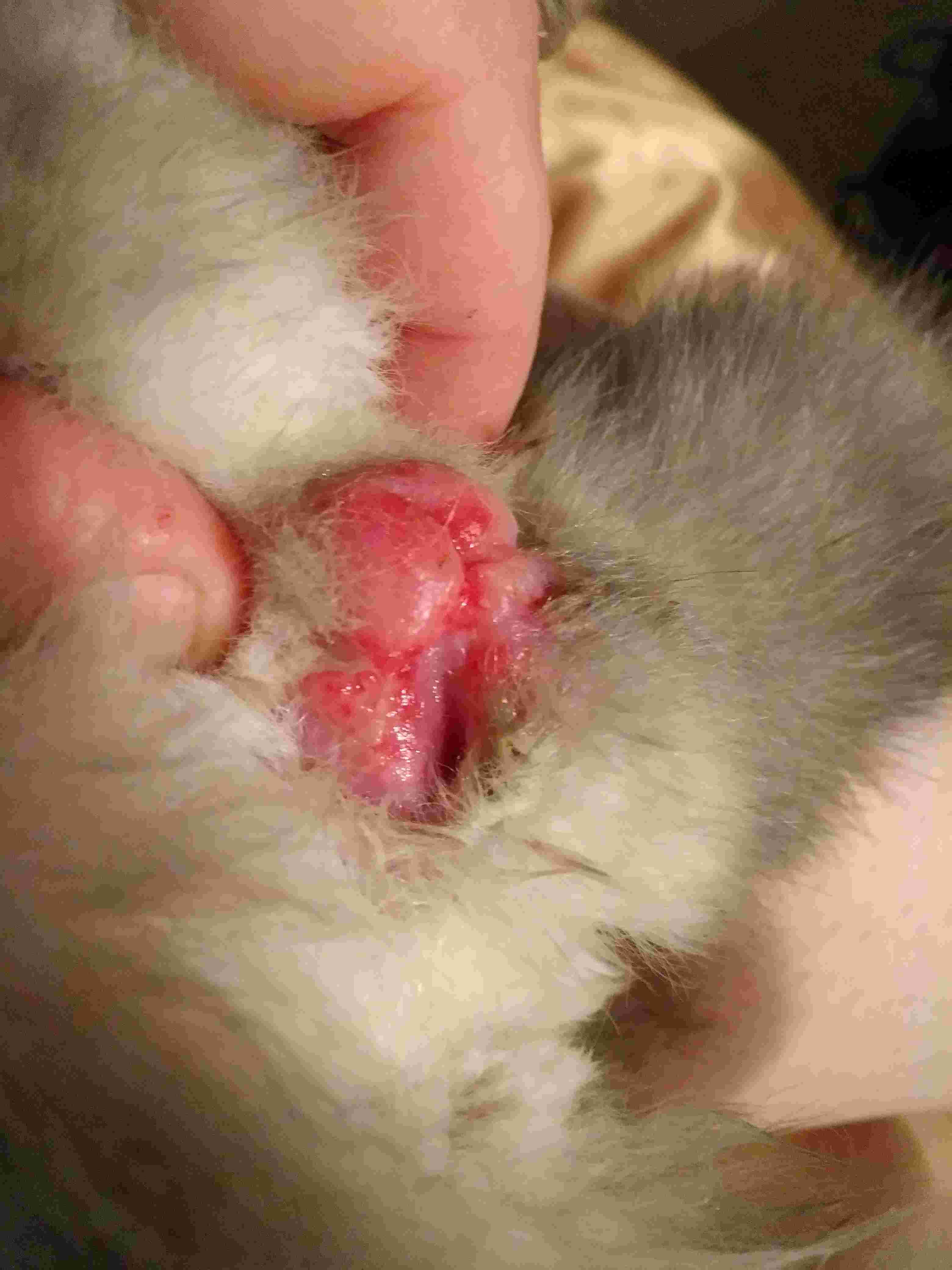 Question details sensitive content