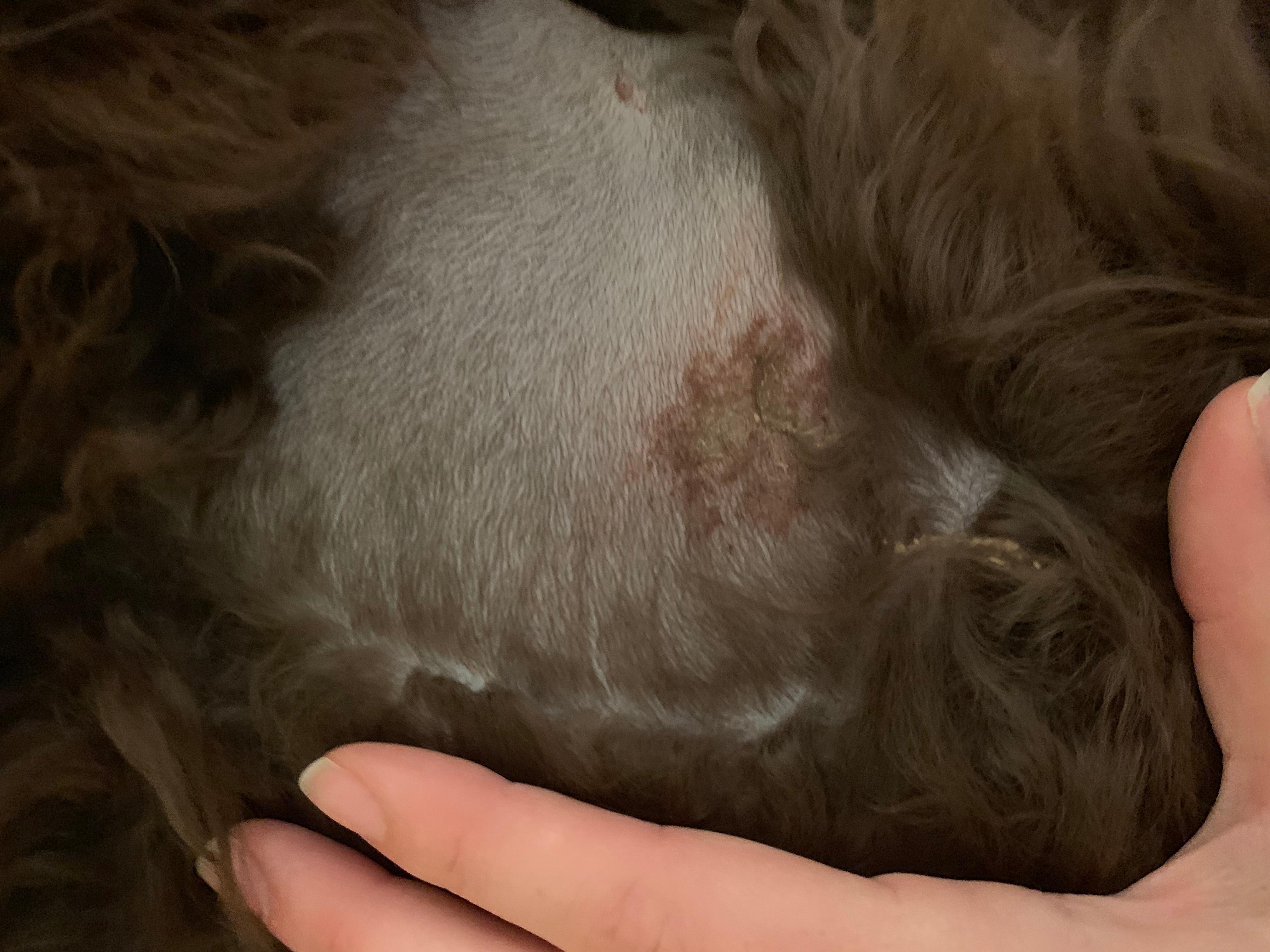 Question details sensitive content