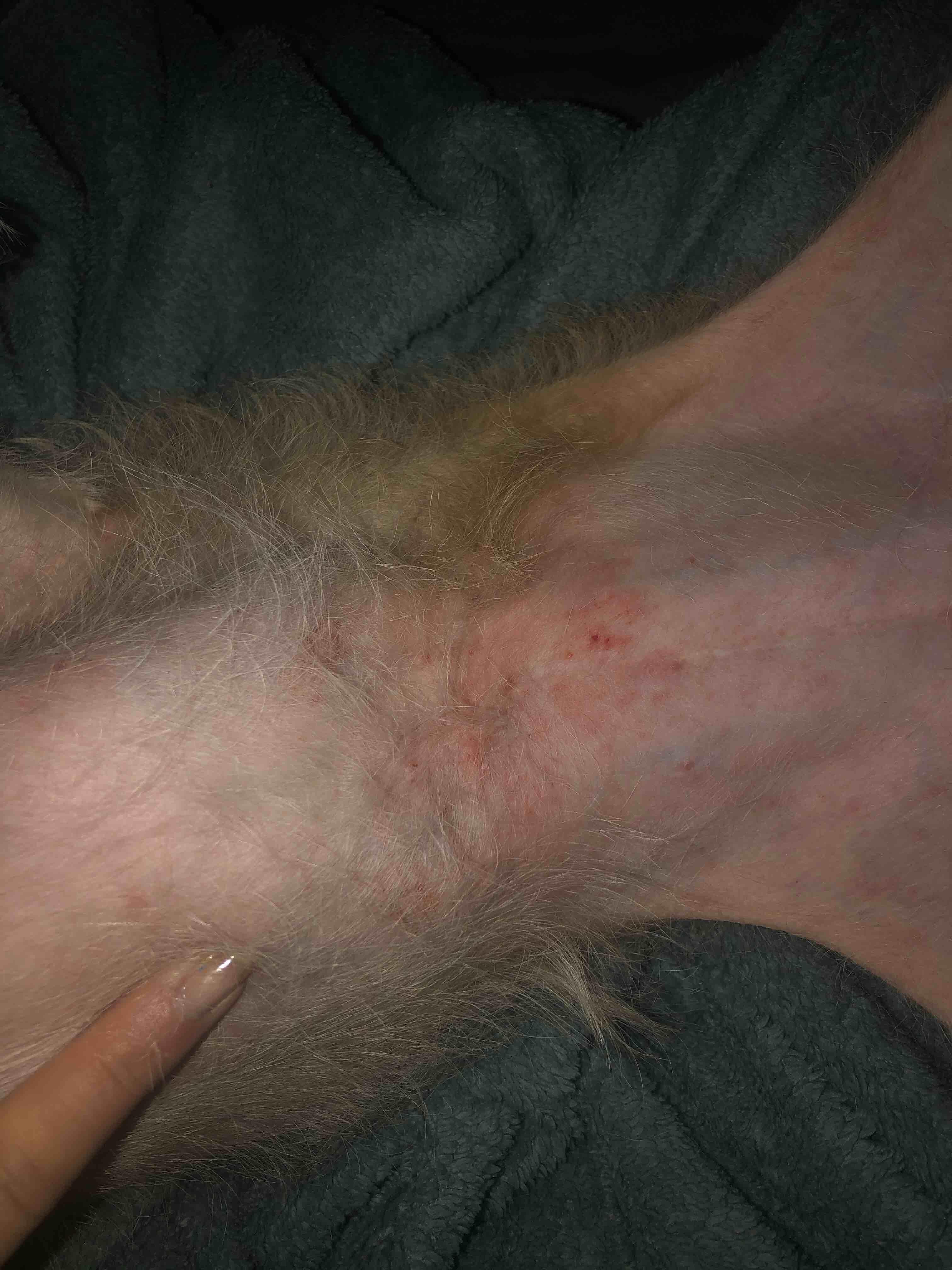 Question details sensitive content