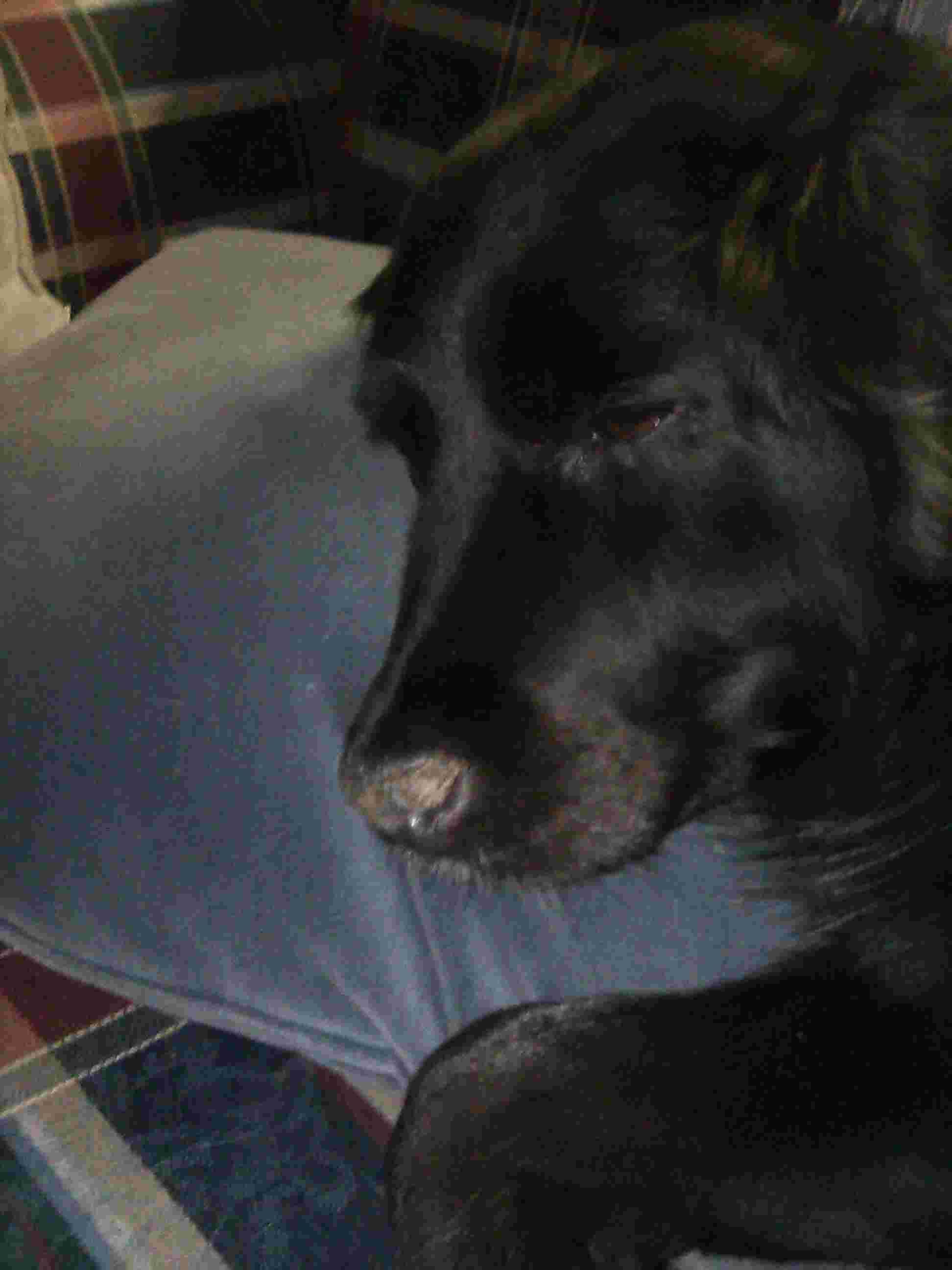 Question details sensitive content